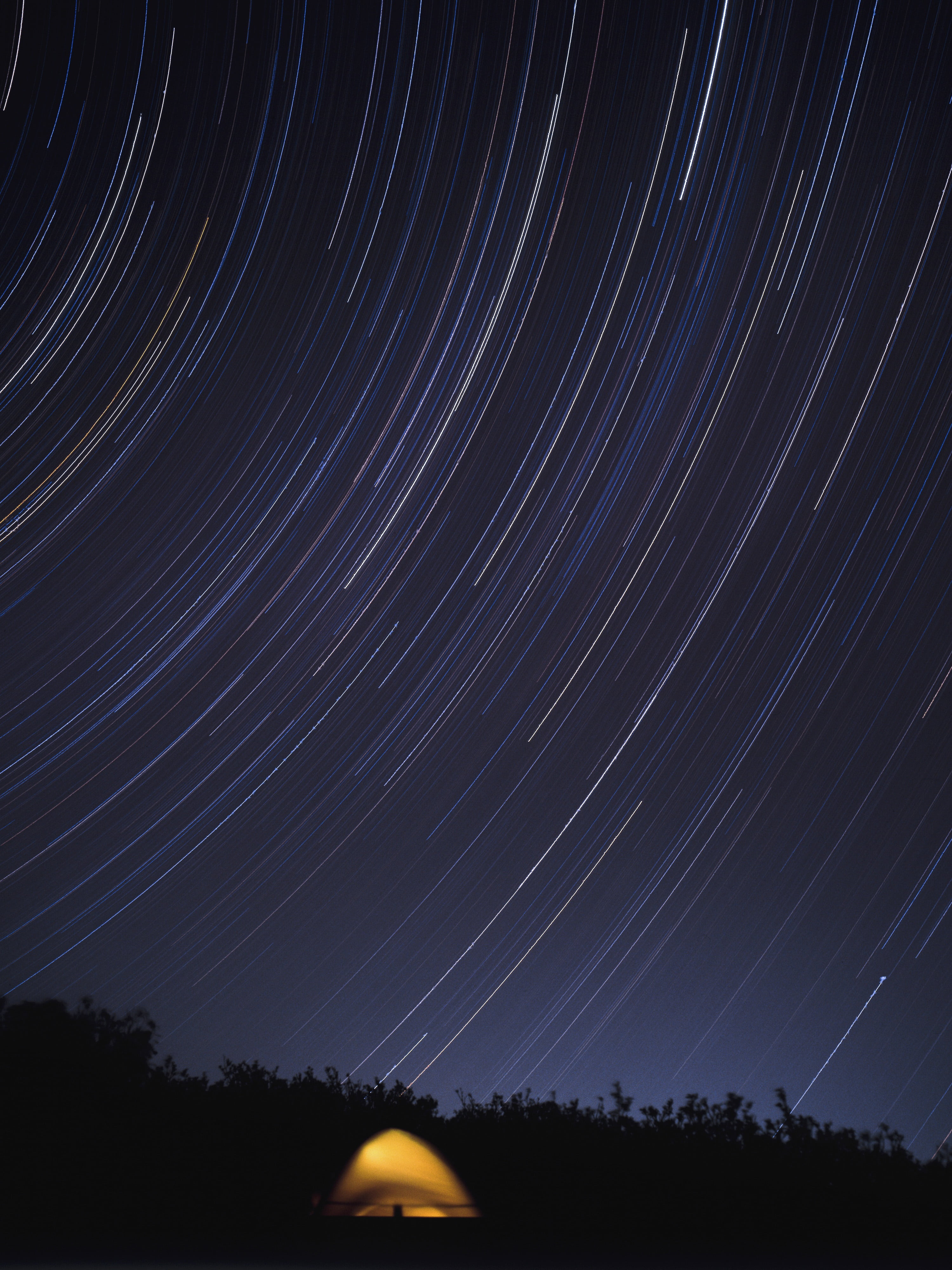 plant, star, trajectory of the star, tranquility, 4K, trail, astronomy, motion, long exposure, landscape, illuminated, shirakami-sanchi, idyllic, star trail, Phone HD Wallpaper