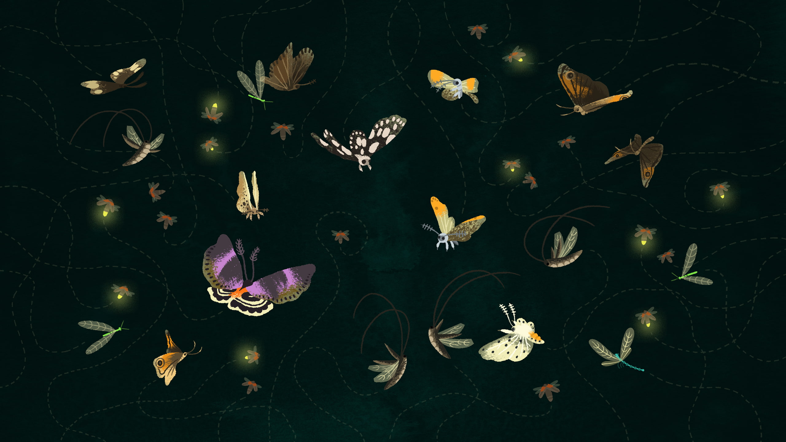 light, nature, lighting equipment, marine, trajectory, butterfly, beauty in nature, growth, animal themes, flight, close-up, floating on water, HD Wallpaper