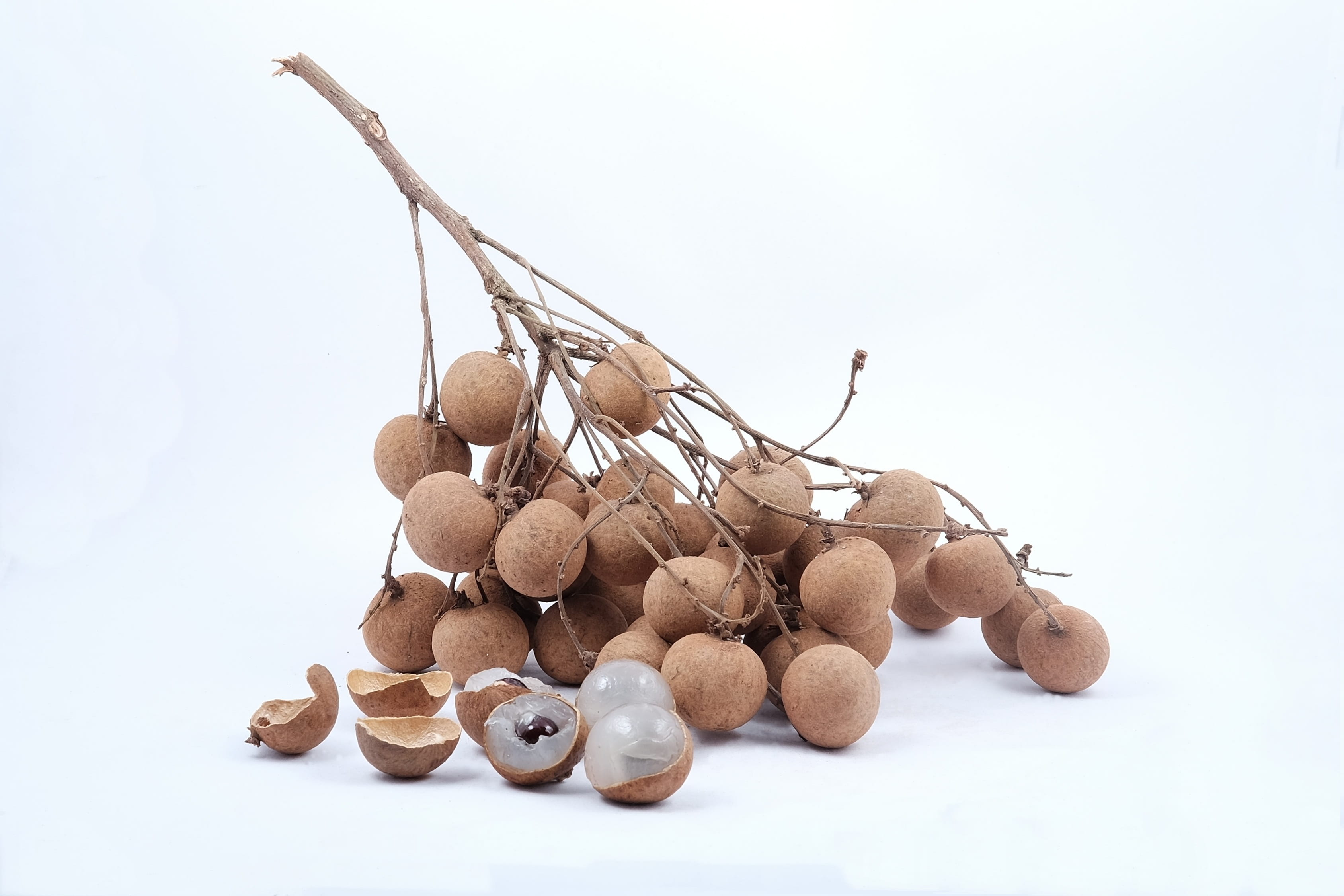 studio shot, object, stack, heap, food and drink, white background, asian, 2K, fruit, nut - food, longan, indoors, close-up, thai, nut, food, brown, freshness, HD Wallpaper