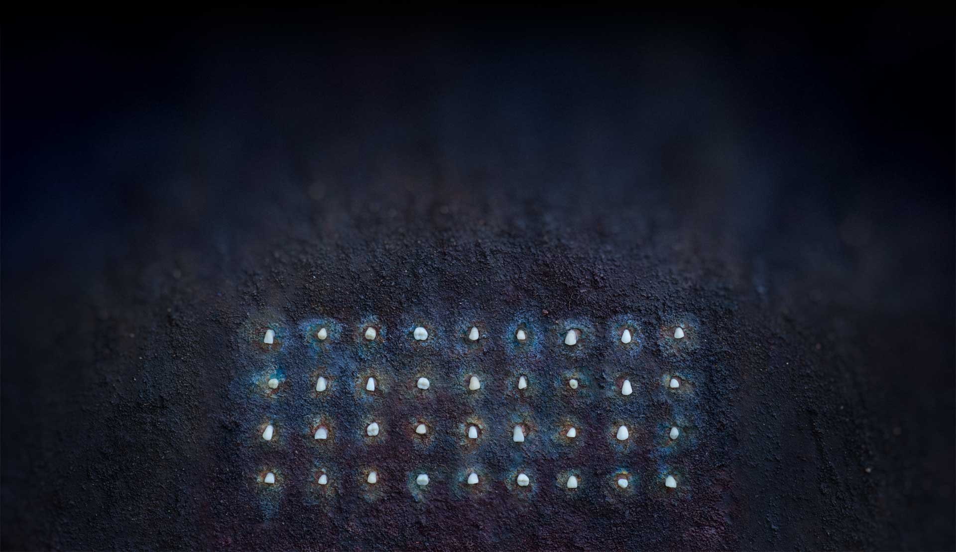 nine-inch-nails, nails, rock, nin, industrial, inch, nine, metal, 1080P, alternative, HD Wallpaper