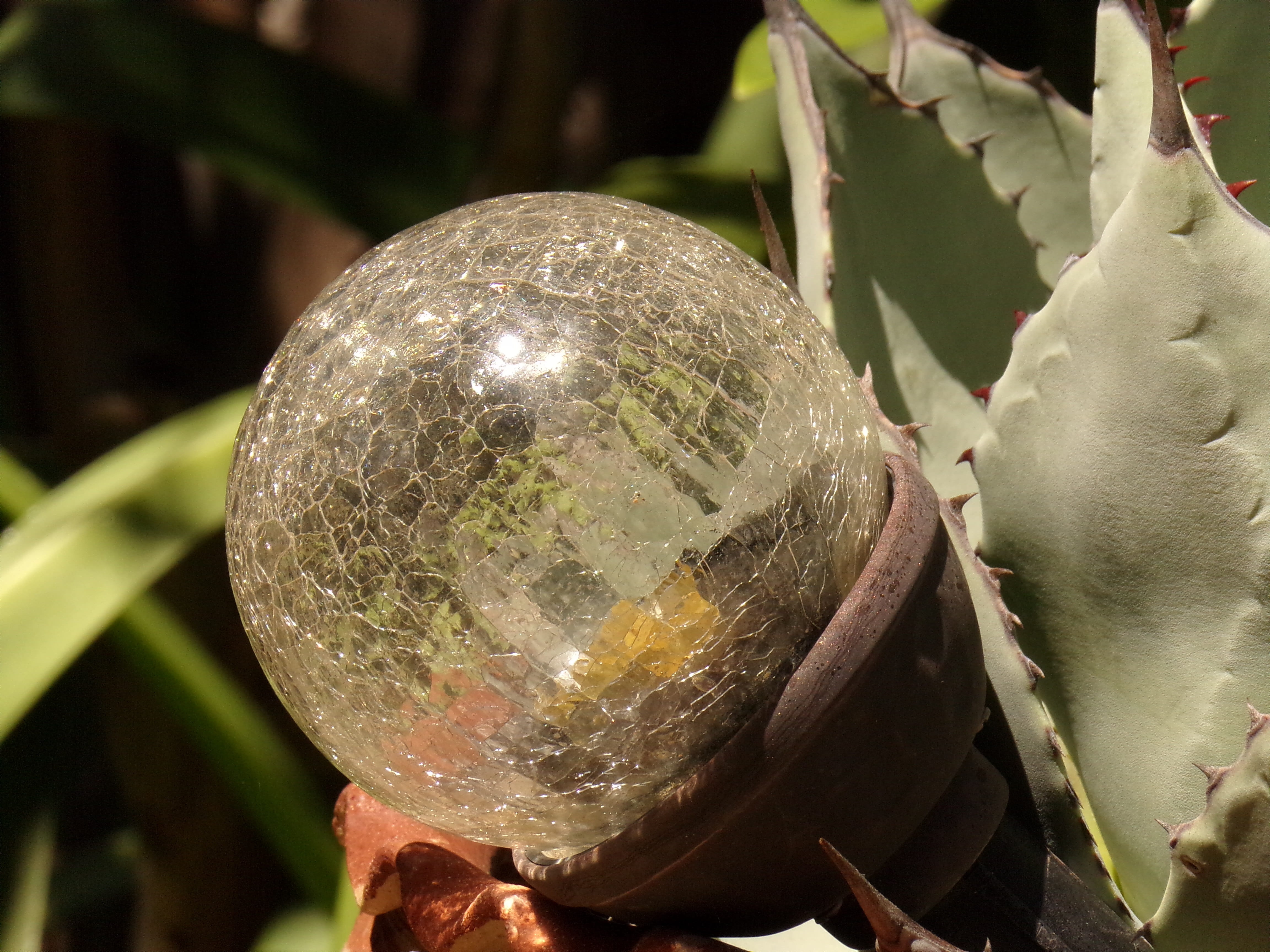 Globe, plant, science, growth, green color, sunlight, nature, Perspective, focus on foreground, Ecology, environment, food and drink, Orb, no people, freshness, HD Wallpaper