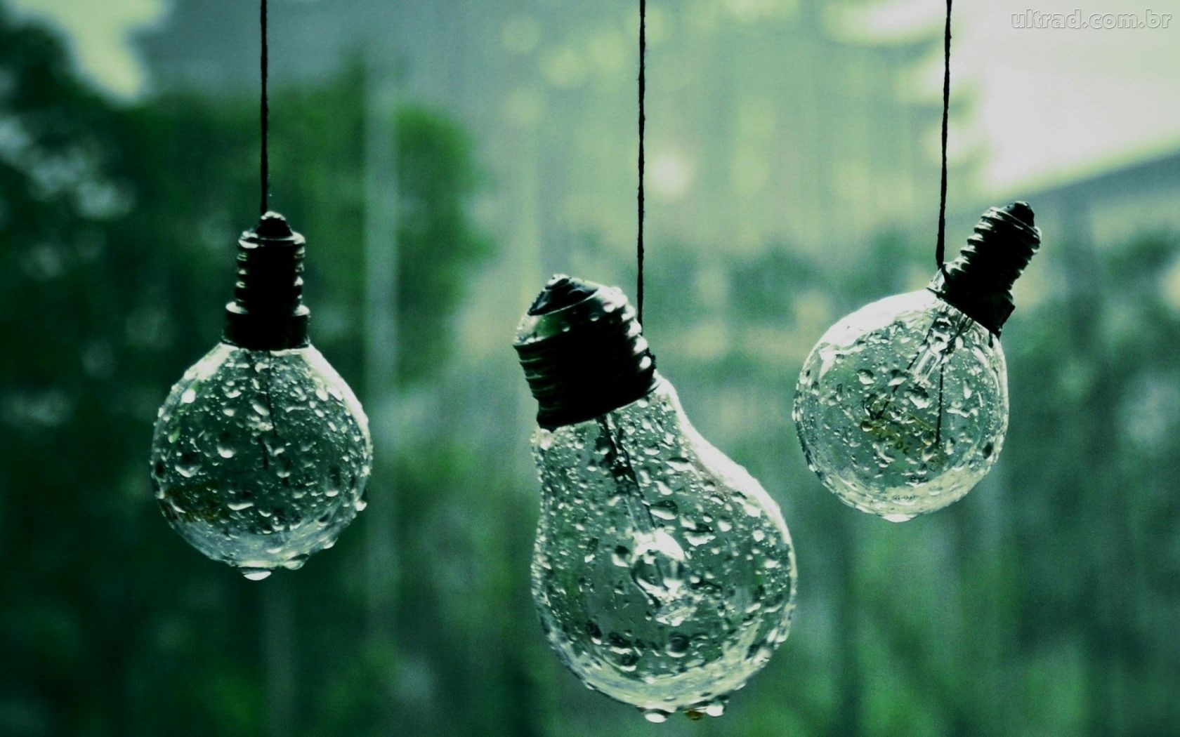 lightbulb, 720P, HD Wallpaper