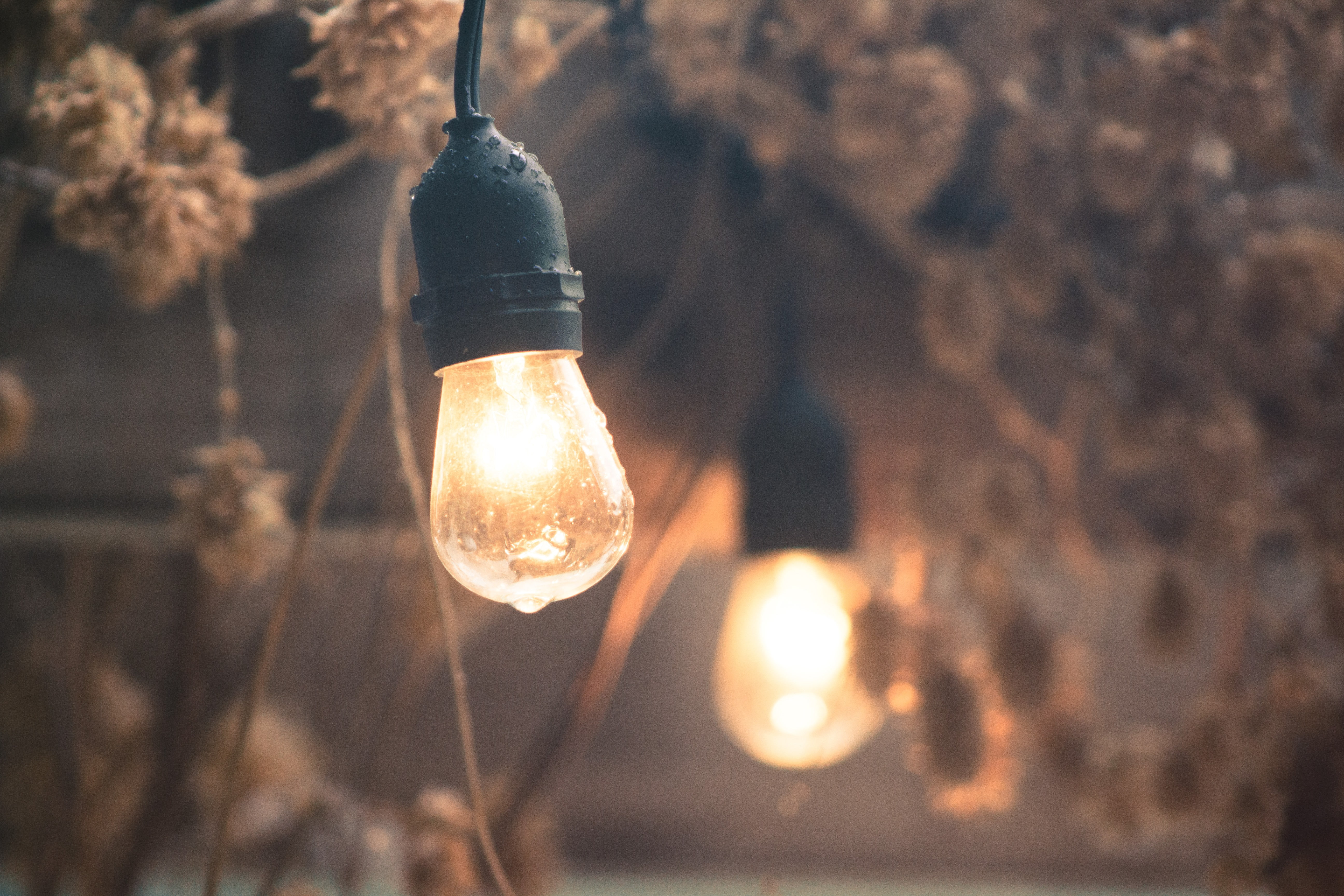 lightbulb, rain, 5K, HD Wallpaper