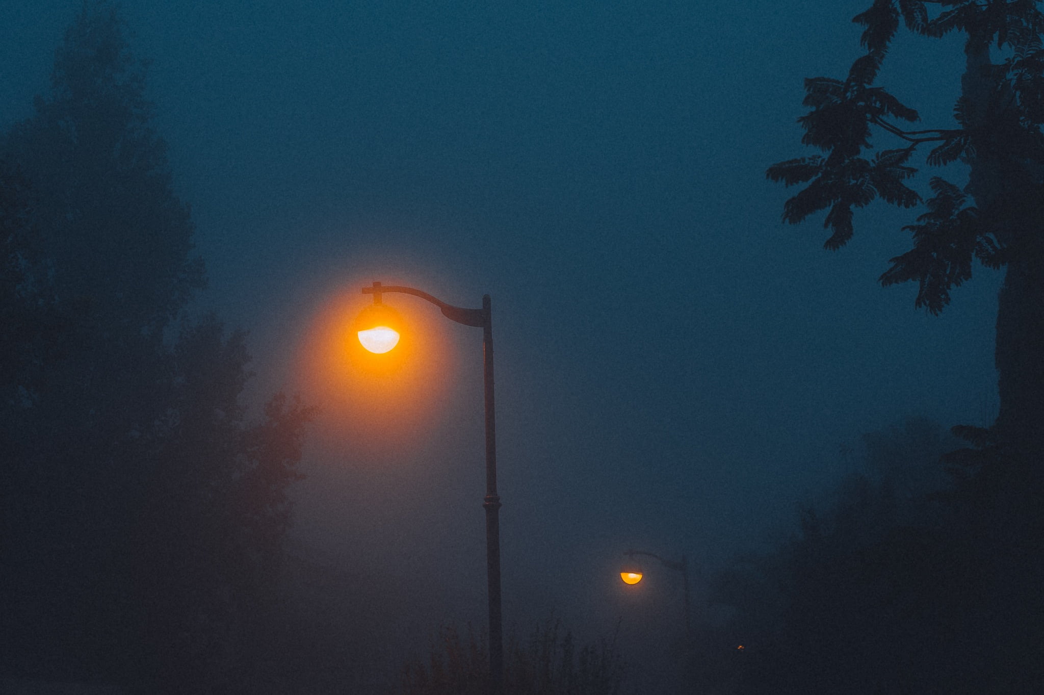 lights, turned, dark, dusk, no people, 1080P, road, lighting equipment, evening, transportation, lamp, sign, lamp posts, sky, night, street light, street, HD Wallpaper