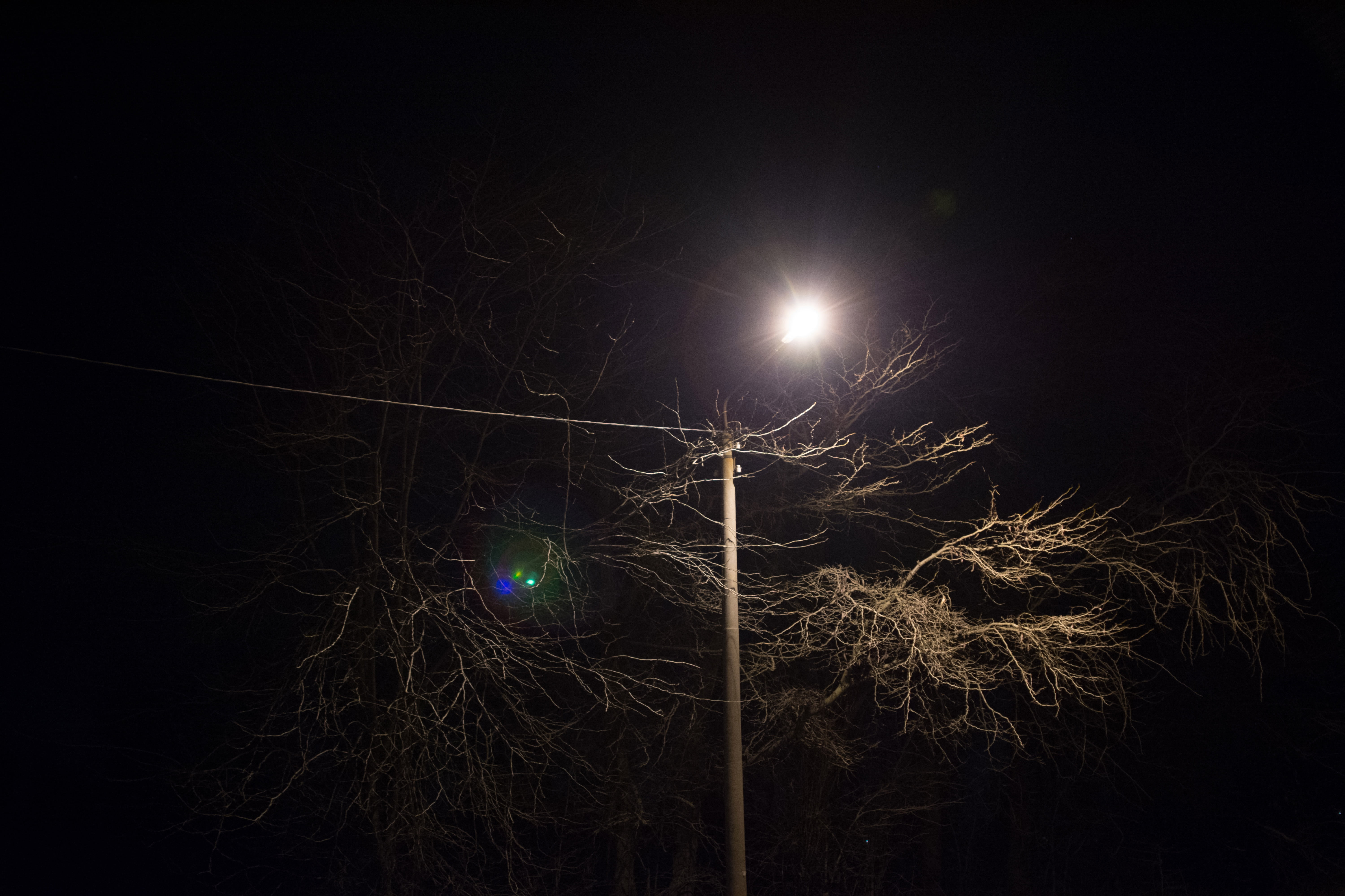 pole, 5K, post, power lines, light, copy space, plant, moonlight, glowing, nature, light - natural phenomenon, night, sky, low angle view, leaf, dark, HD Wallpaper