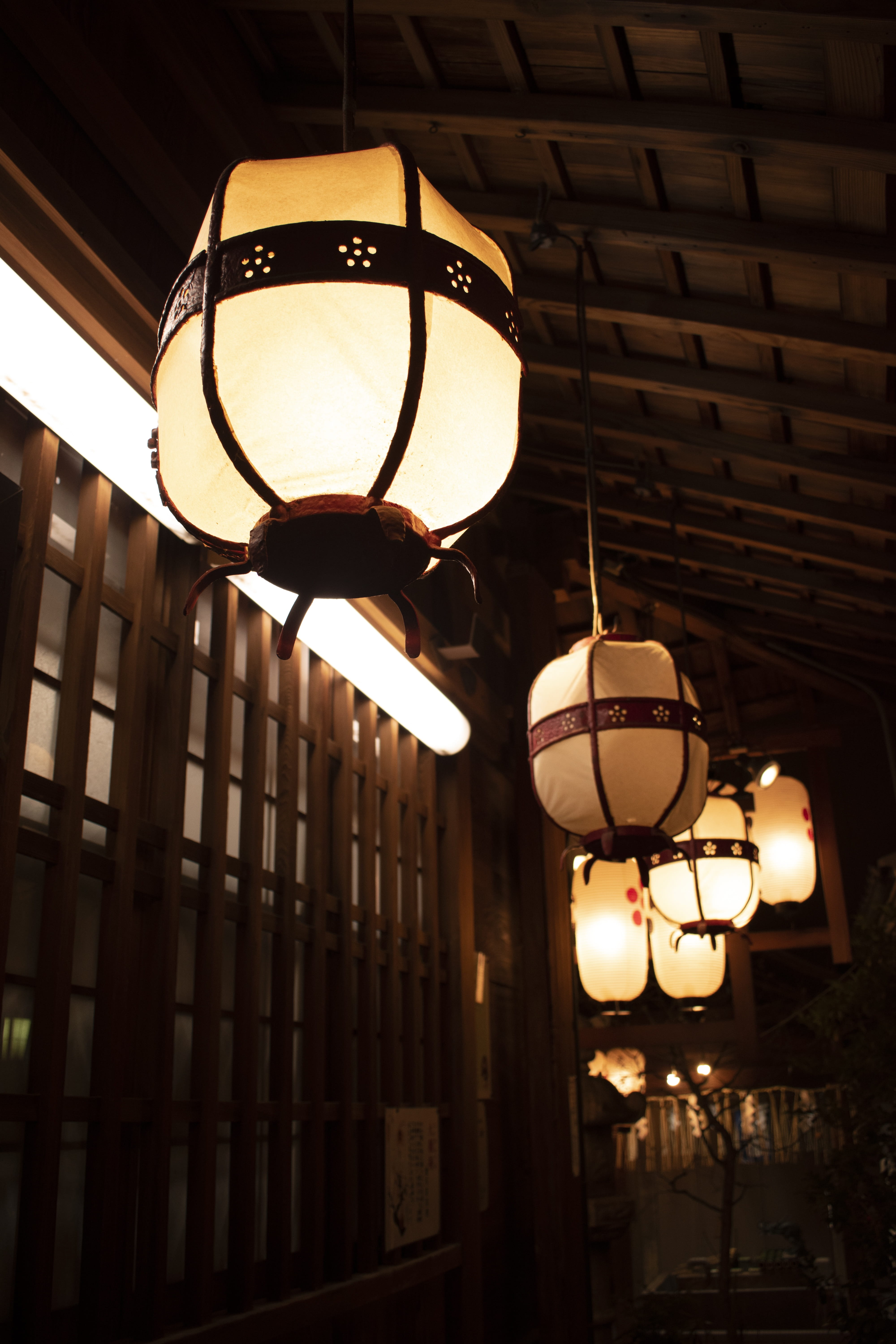 architecture, japanese, tradition, glowing, low angle view, no people, in a row, built structure, light fixture, building, japan, paper lantern, electric light, Phone HD Wallpaper