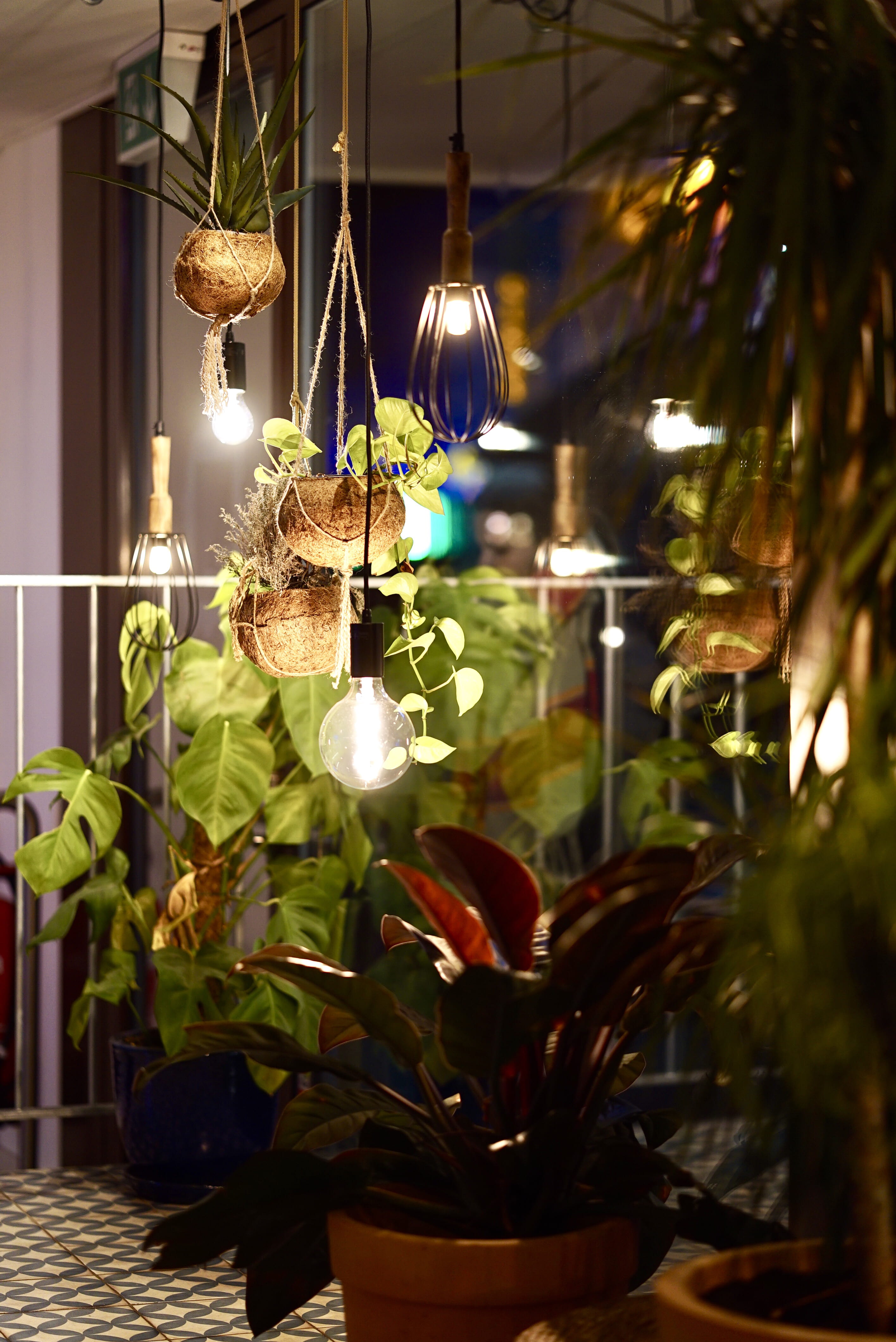 growth, near, day, plant part, lamps, hanging, leaf, plant, fence, nature, 4K, close-up, planter, power, pots, several, tree, celebration, christmas, lights, Phone HD Wallpaper