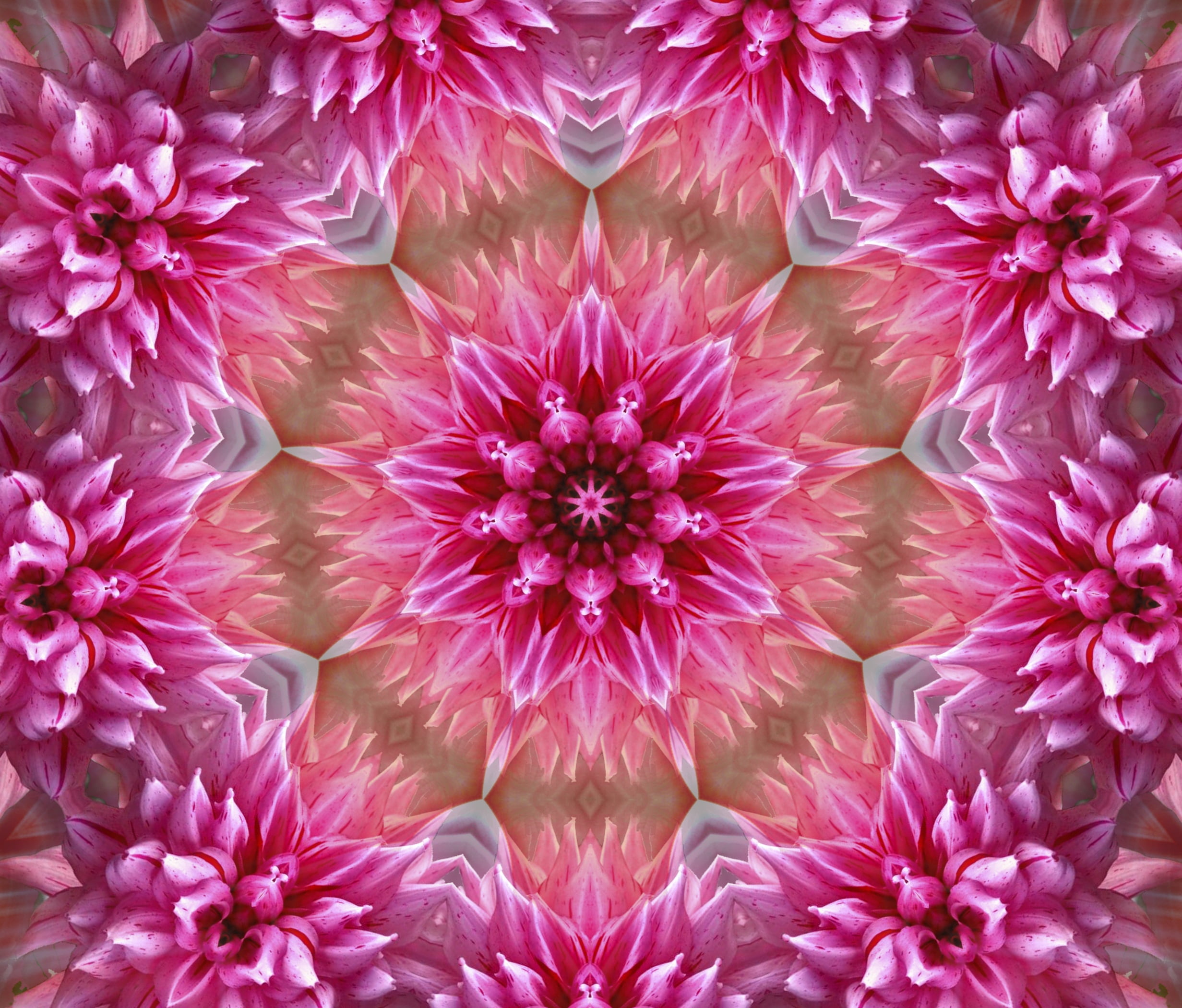 1080P, texture, graphics, pattern, background, symmetry, digital art, mandala, flowers, HD Wallpaper