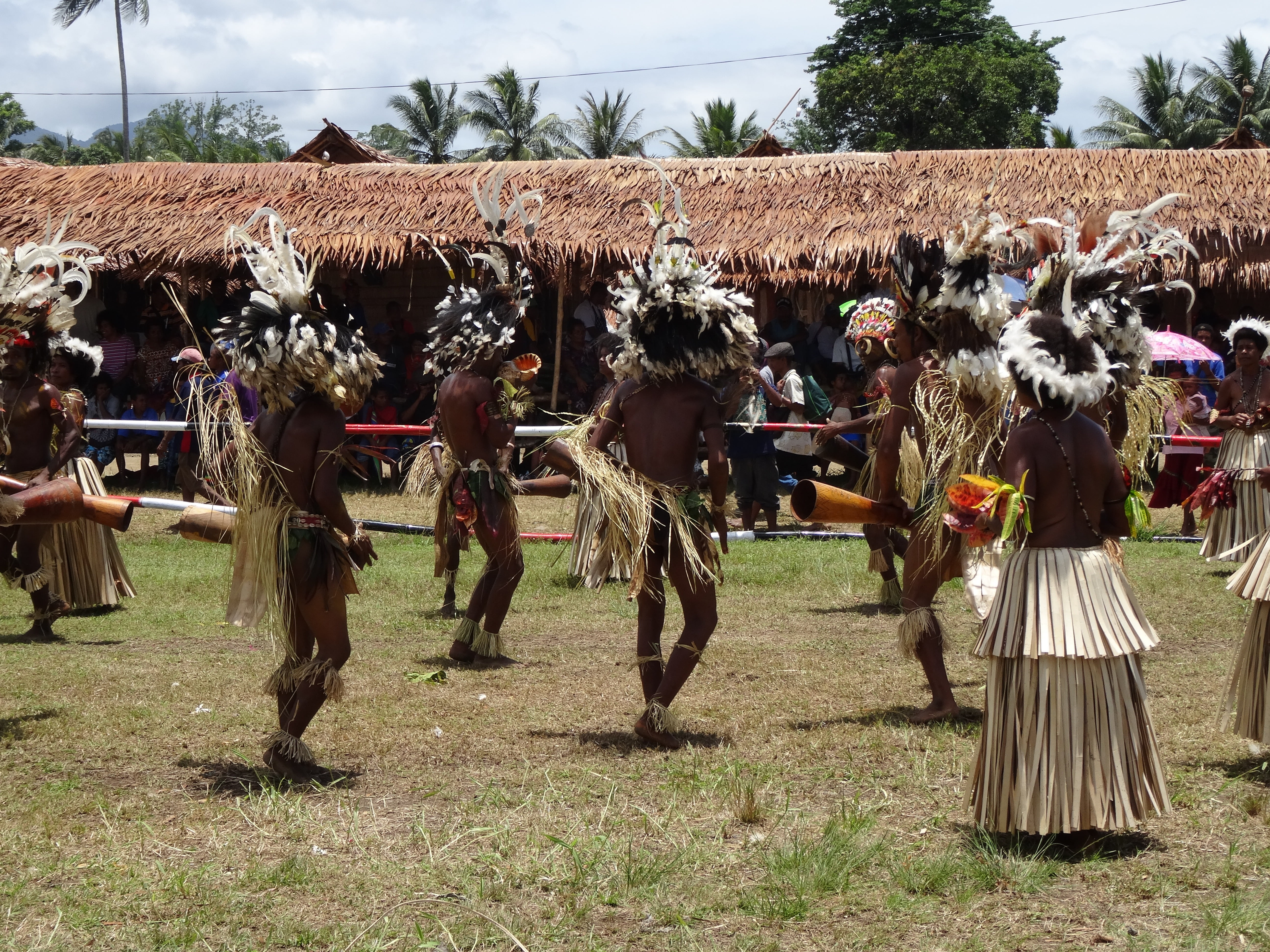 group of people, real people, native, tribe, papua new guinea, field, large group of people, domestic, tribal, dancers, nature, outdoors, dancing, day, HD Wallpaper