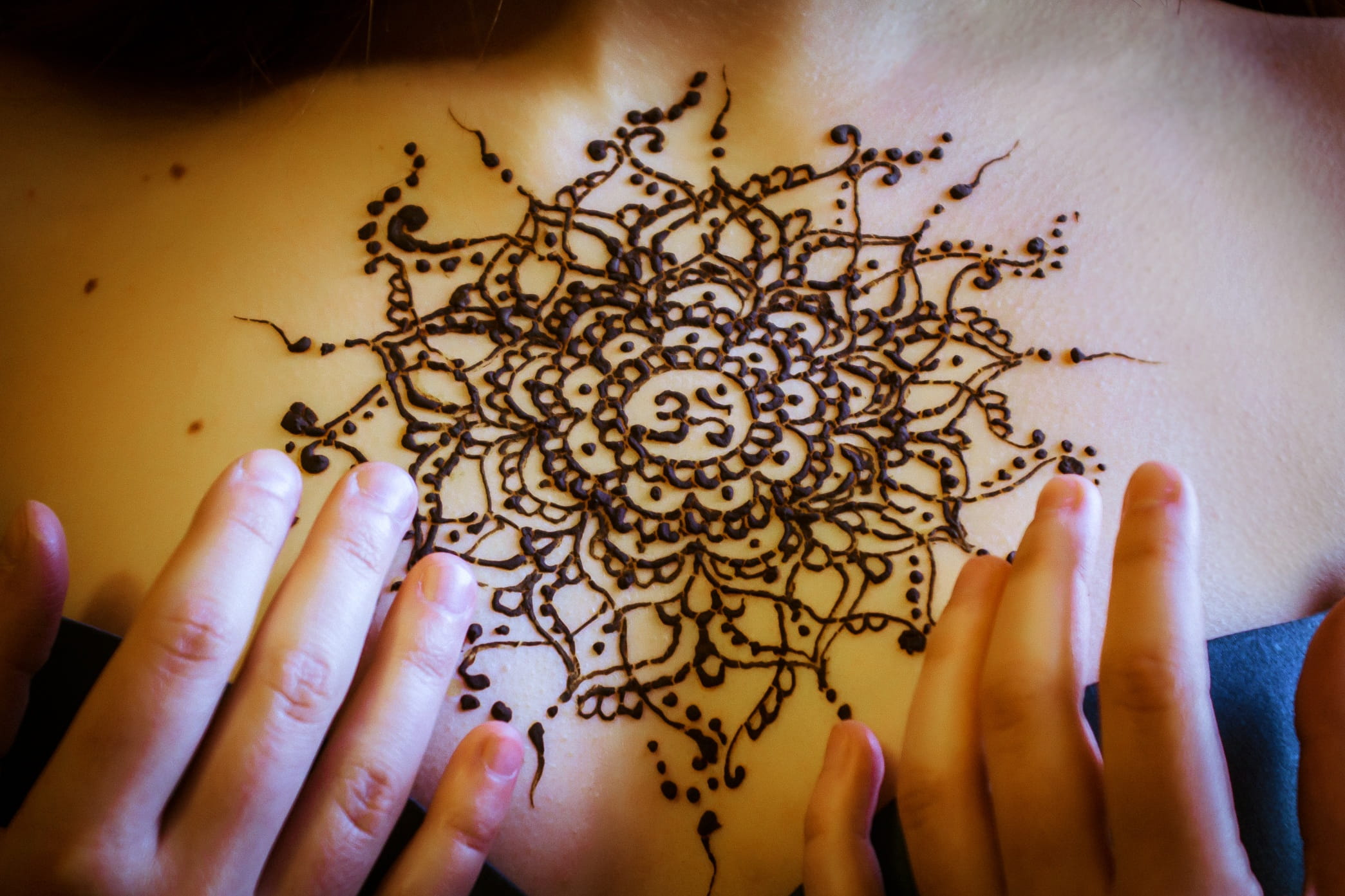 women, people, indoors, invertebrate, food and drink, body part, hand, human finger, one person, human hand, Henna, adult, 1080P, holding, unrecognizable person, HD Wallpaper