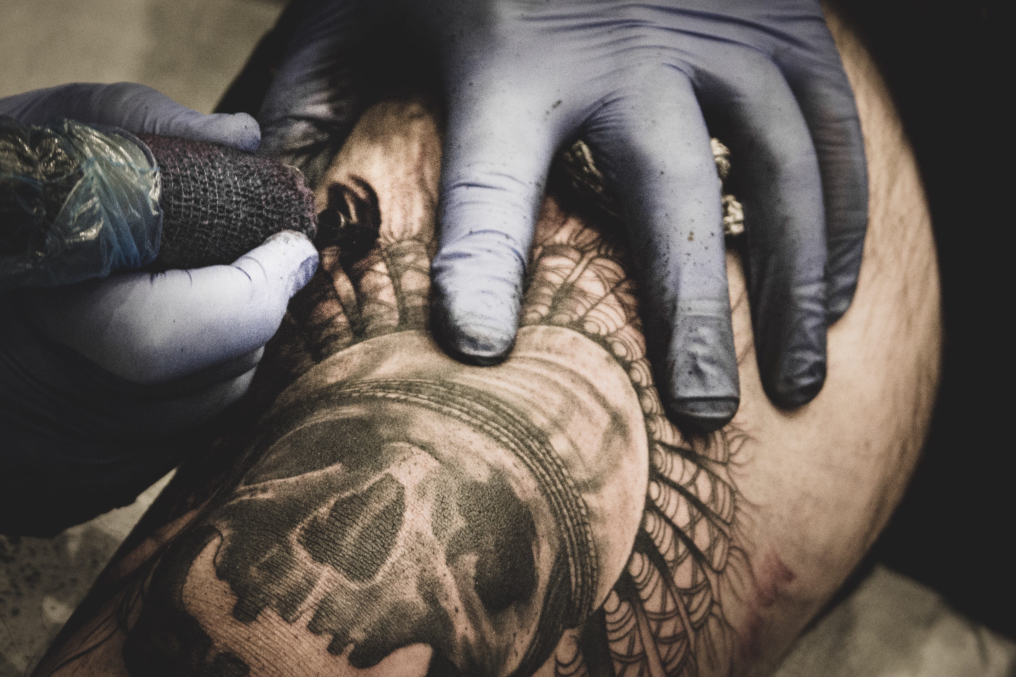 arm, tattooist, indoors, skin, skull, artist, protective workwear, real people, daytime, tattoo, adult, glove, one person, protective glove, tattooing, HD Wallpaper