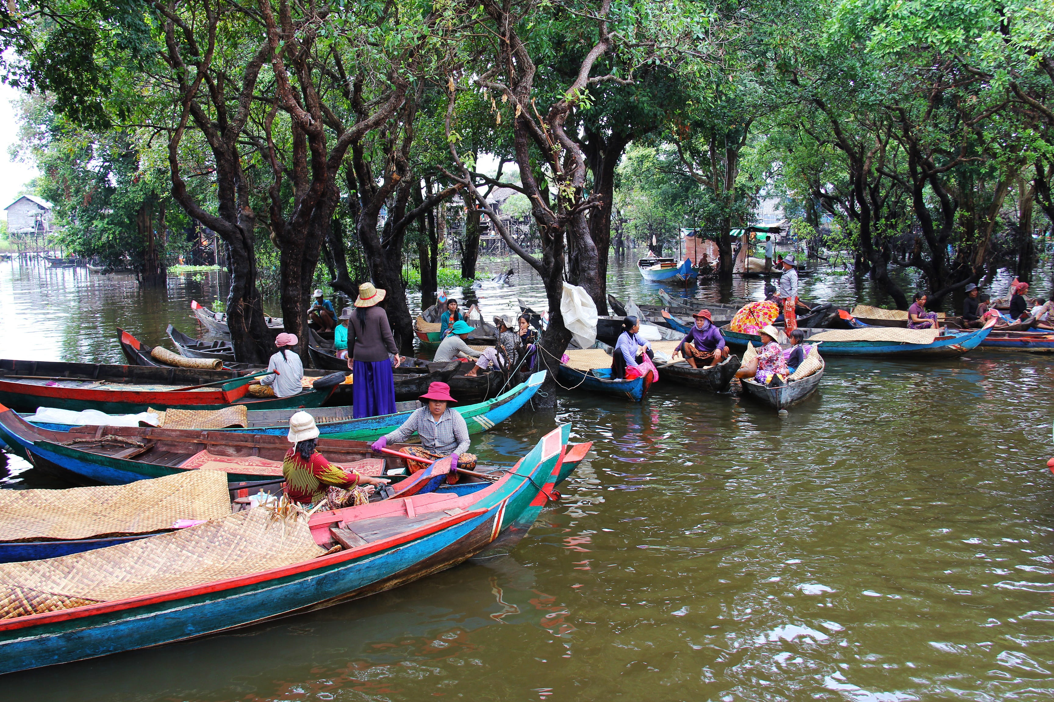 little boy, large group of people, man, plant, young, village, siem reap, nautical vessel, fishing, boy, nature, riding, old people, travel, family, river, HD Wallpaper