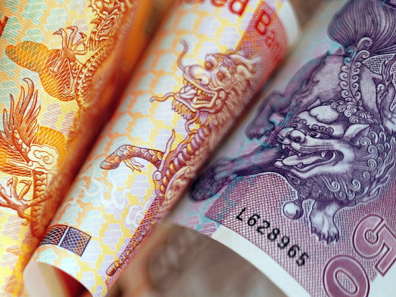 banknotes, paper Currency, floral pattern, embroidery, design, finance, currency, adult, indoors, full frame, people, Dragon, textile, women, hand, Money, HD Wallpaper