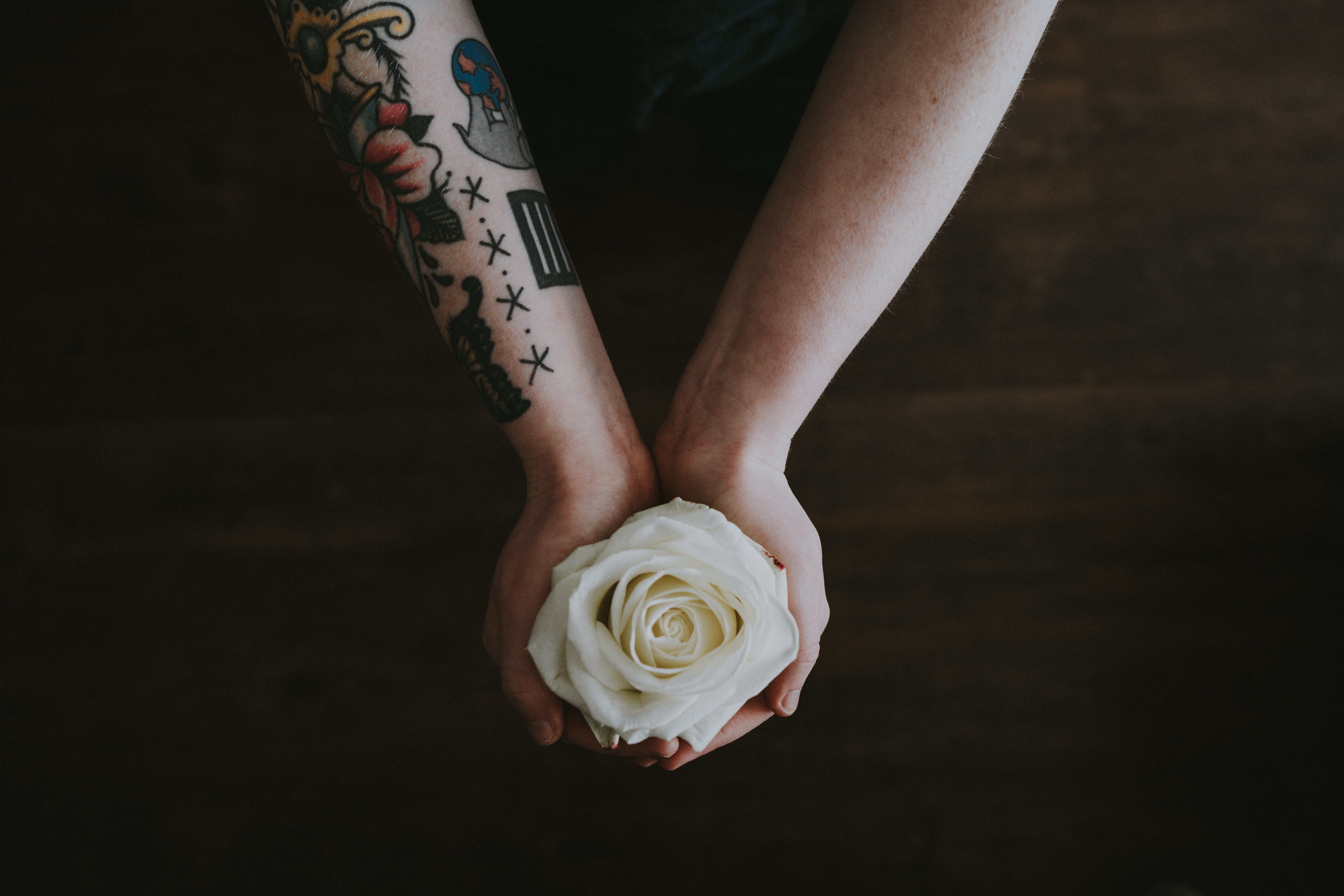hold, person, floral pattern, flowering plant, rose, flower head, adult, holding, women, beauty in nature, freshness, human limb, caucasian, yellow, tattoo, HD Wallpaper