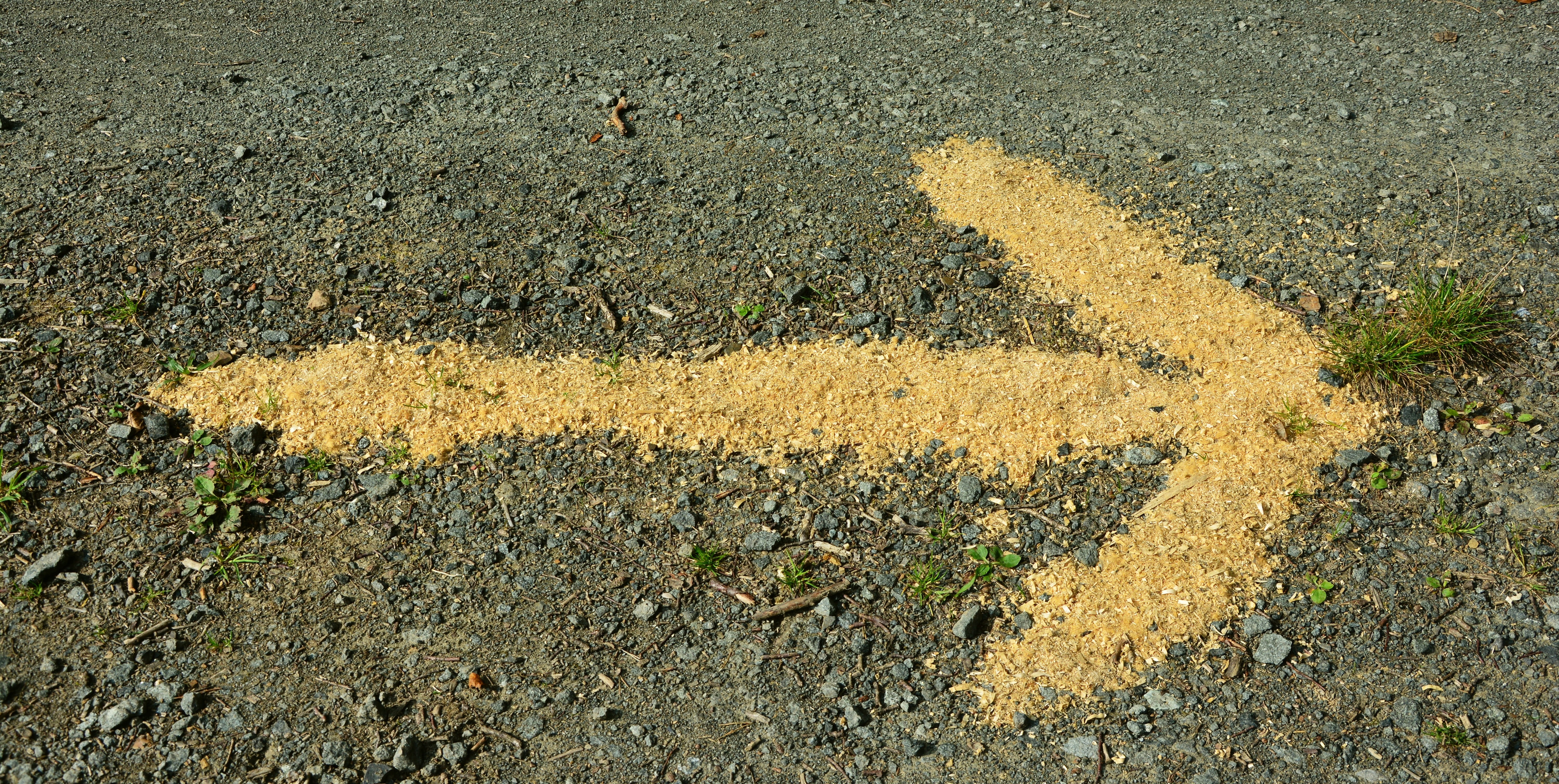 no people, street, 5K, leading the way, right, yellow, nature, sunlight, sign, characters, plant, city, road marking, outdoors, day, note, asphalt, signage, HD Wallpaper