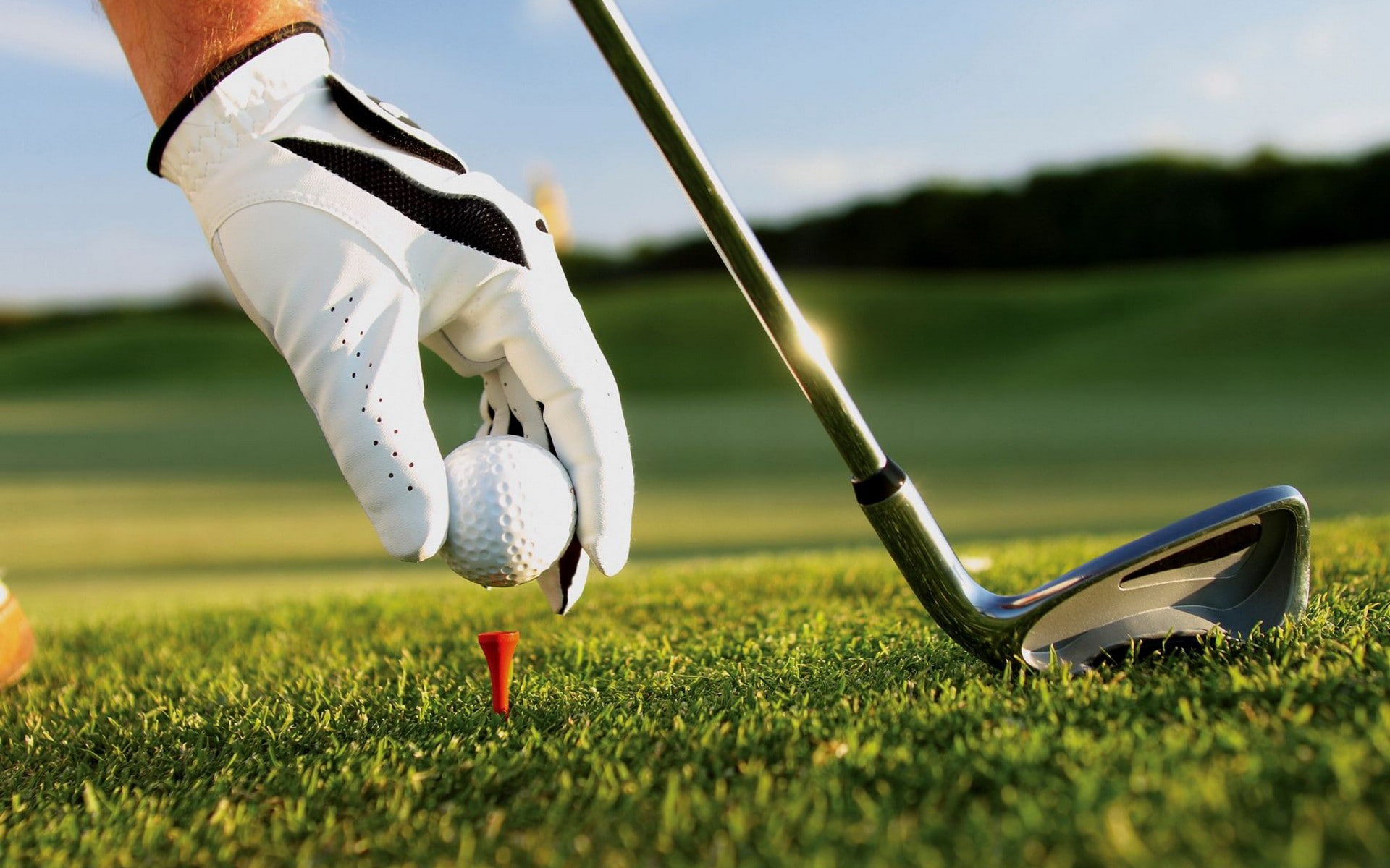 1080P, sports, golf, club, grass, ball, hd, HD Wallpaper