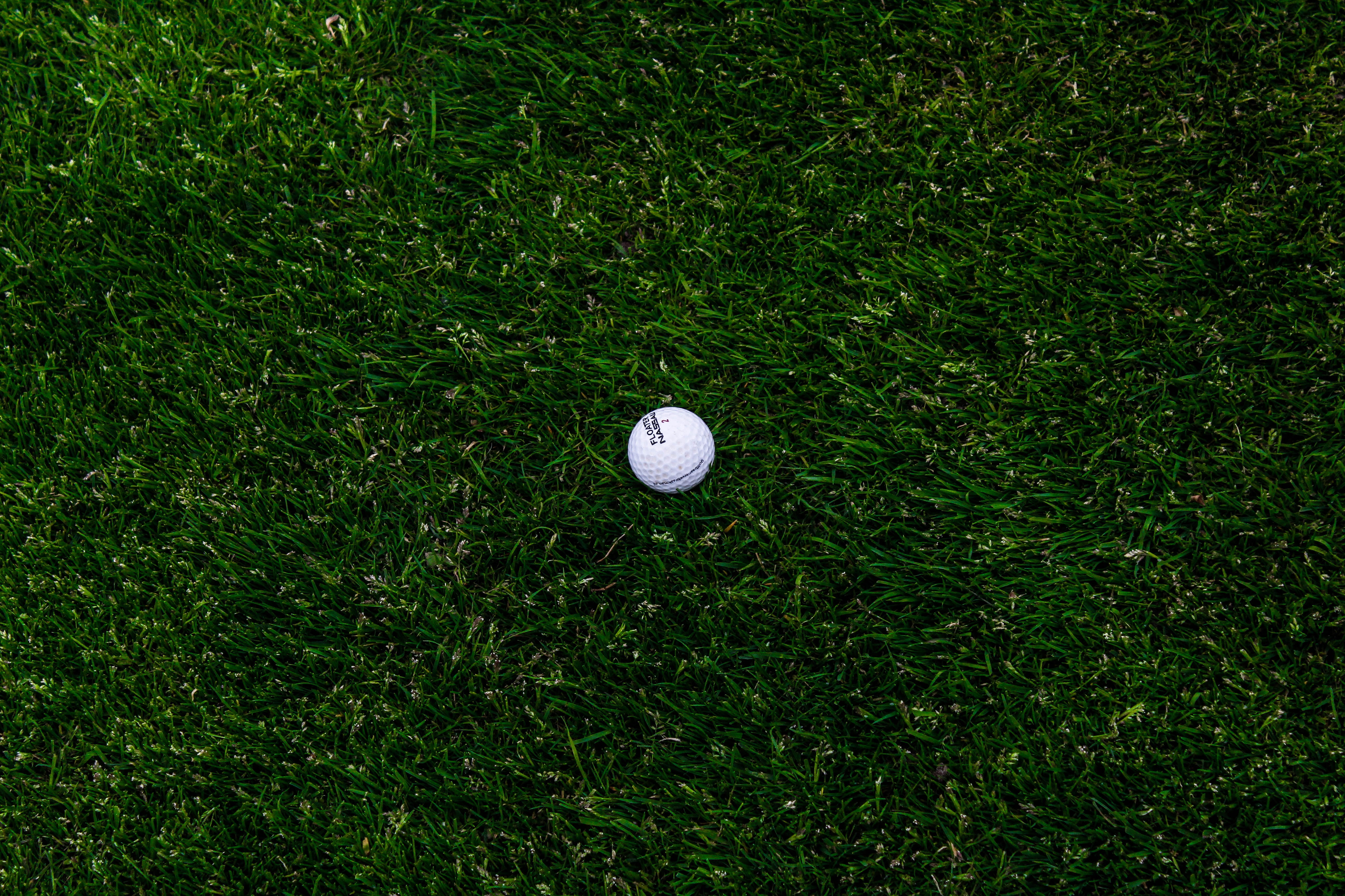 grass, nature, backgrounds, plant, high angle view, lawn, ball, day, 5K, white, relaxation, activity, sports And Fitness, green Color, tee, hole, putting, HD Wallpaper