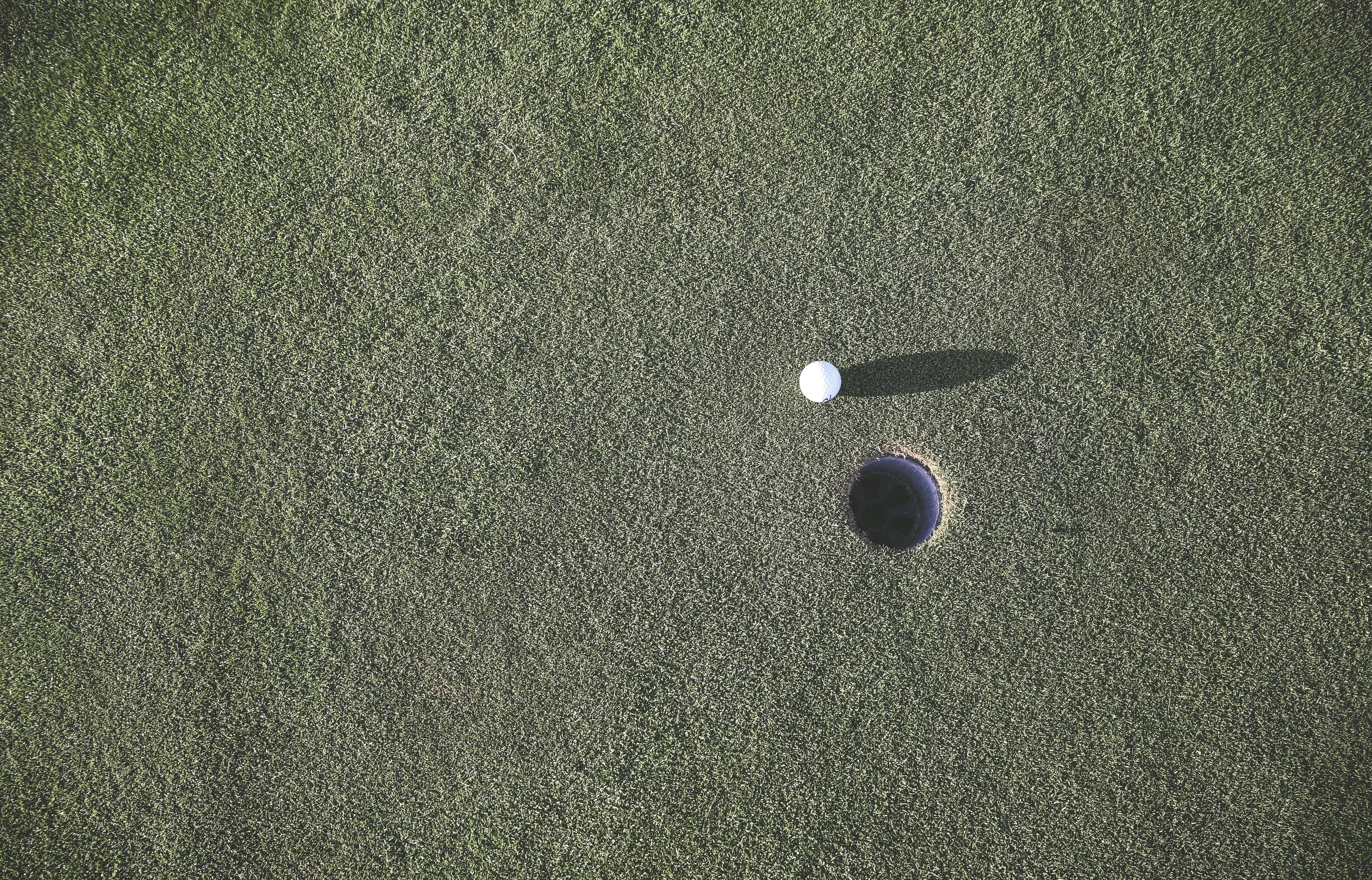 handycap, activity, 4K, birdie, par, white, outdoors, close-up, leisure activity, eagle, golf course, directly above, shadow, ball, object, single, outdoor, HD Wallpaper