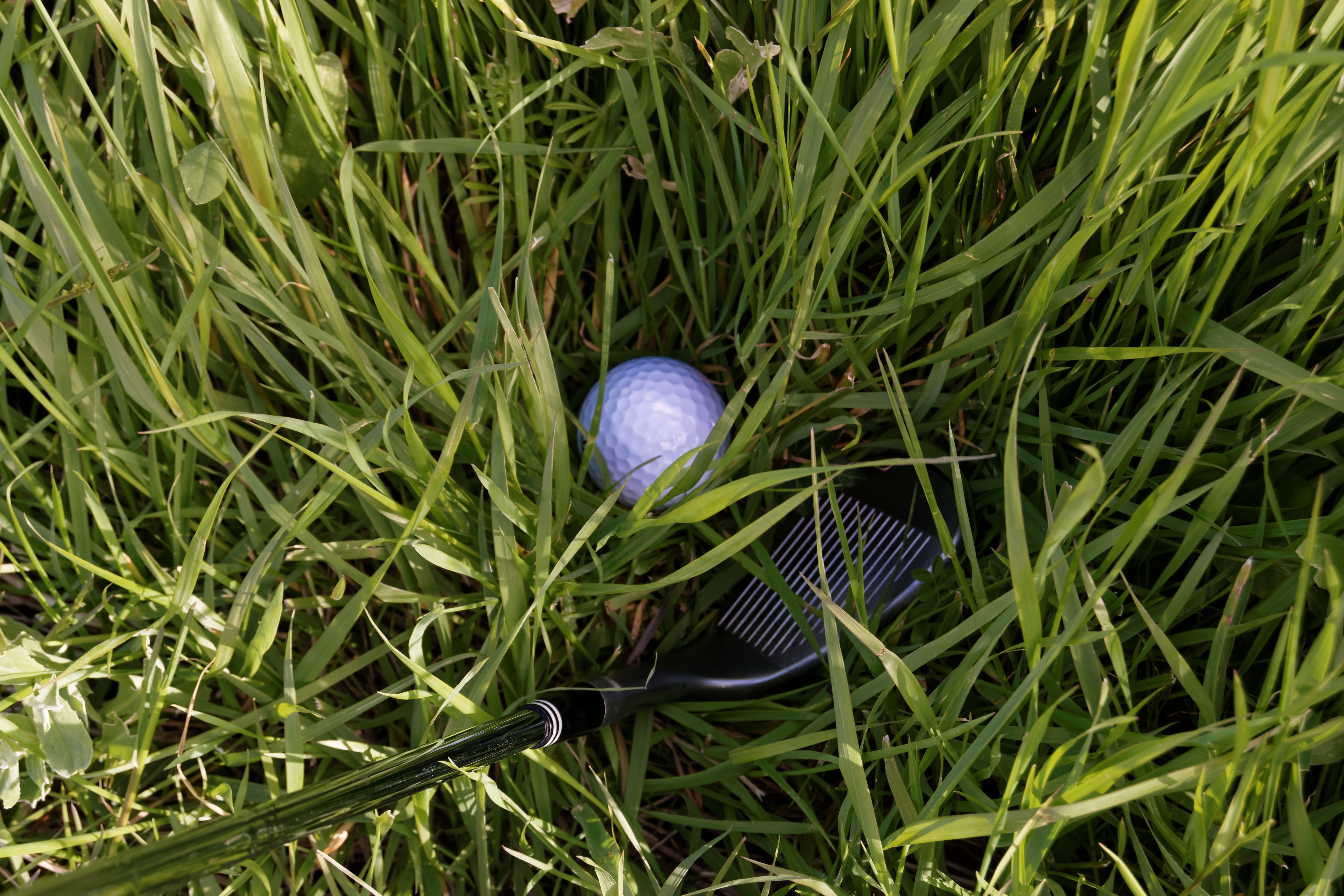5K, fragility, club, nature, no people, outdoors, high angle view, close-up, golfer, golfing, growth, game, ground, egg, exercise, playing, grass, golf, HD Wallpaper