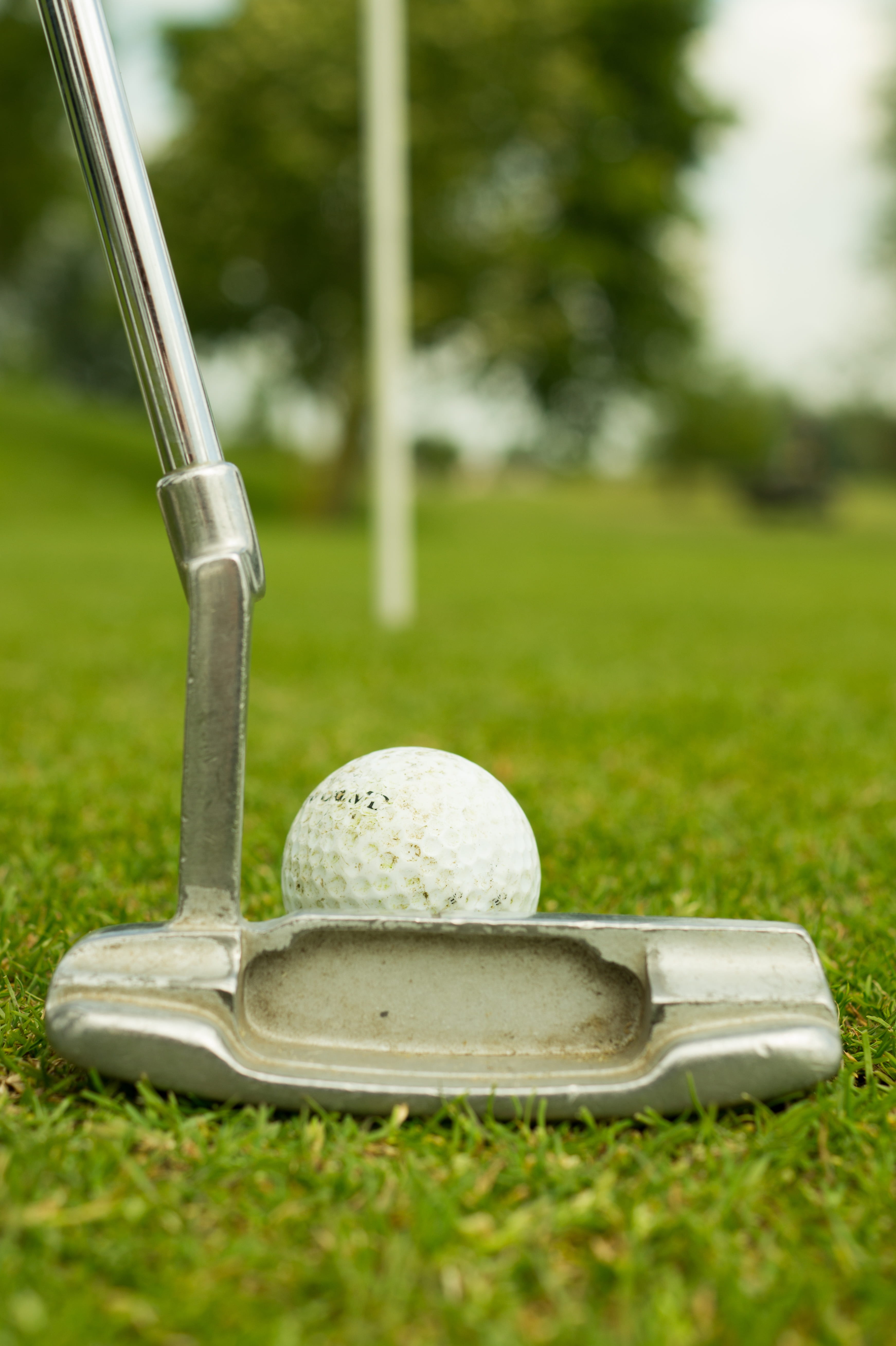 focus on foreground, silver colored, nature, photography, leisure activity, plant, close-up, selective focus, sports, focus, sport, grass, golf course, Phone HD Wallpaper