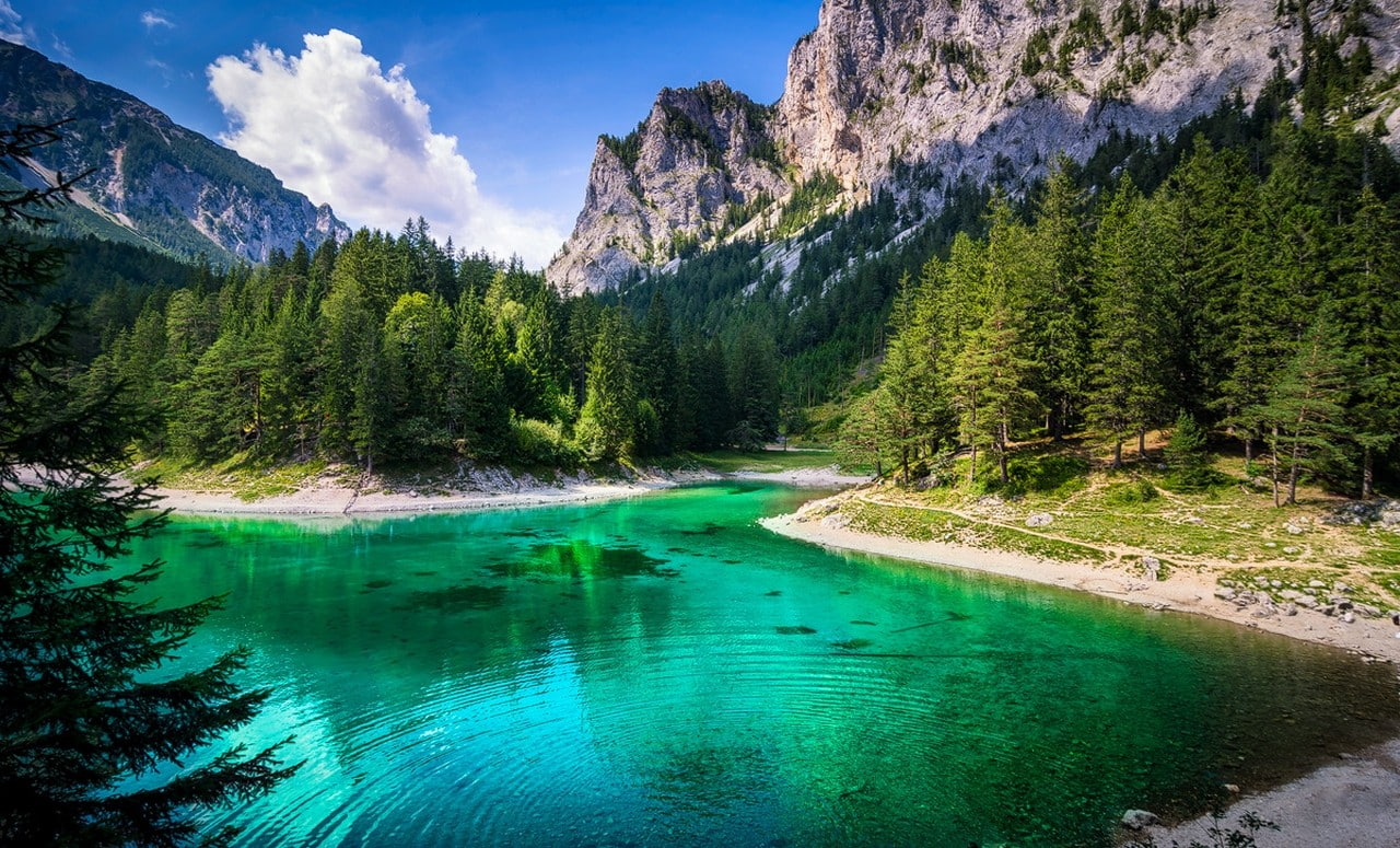 idyllic, tranquil scene, plant, coniferous tree, tree, outdoors, formation, pine tree, non-urban scene, mountain, no people, Austria, nature, mountains, HD Wallpaper