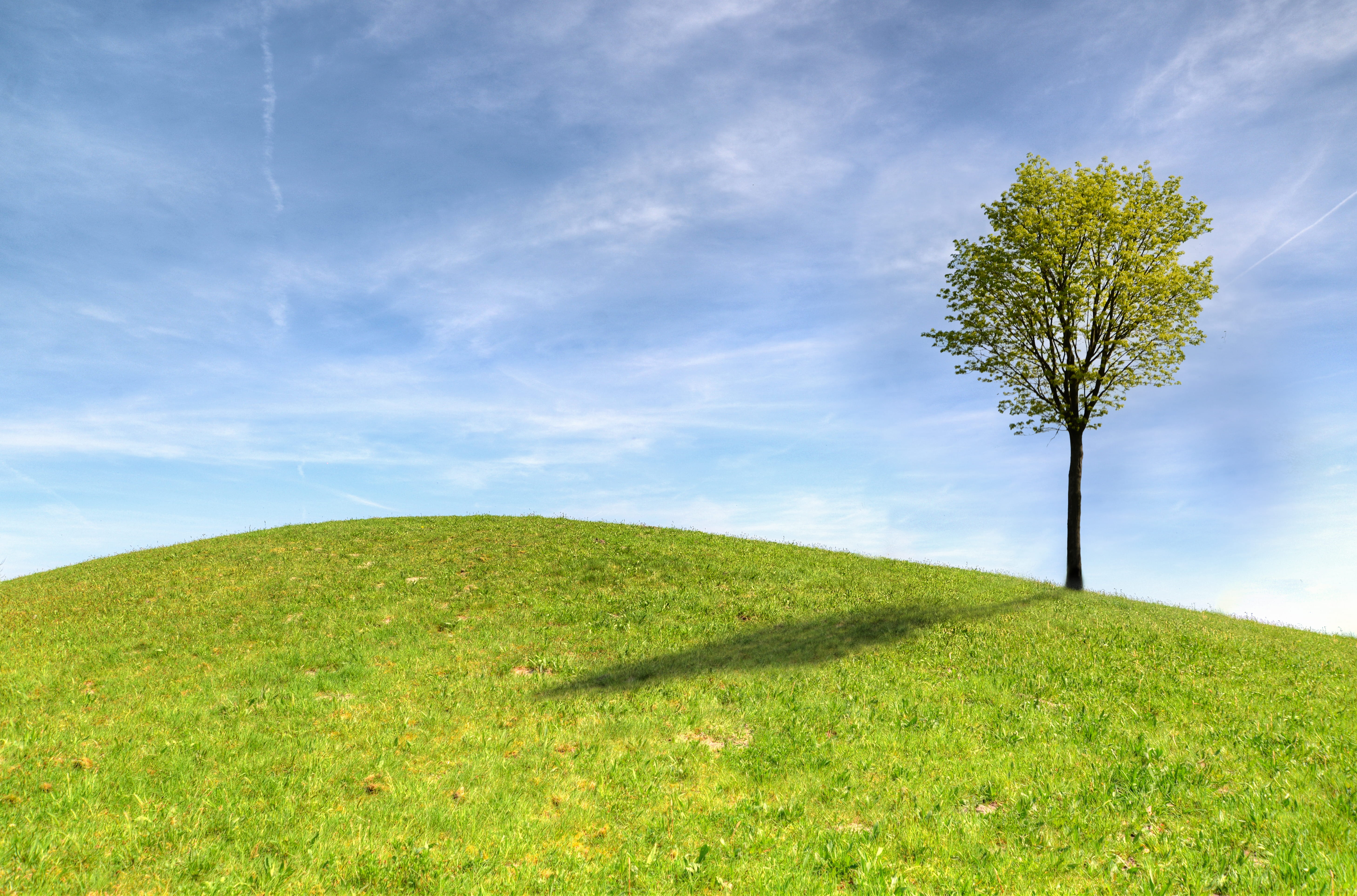 field, nature, outdoors, hayfield, tranquil scene, tree, 5K, green, growth, hill, cloud - sky, summer, land, plant, white, lawn, scenics - nature, green color, HD Wallpaper