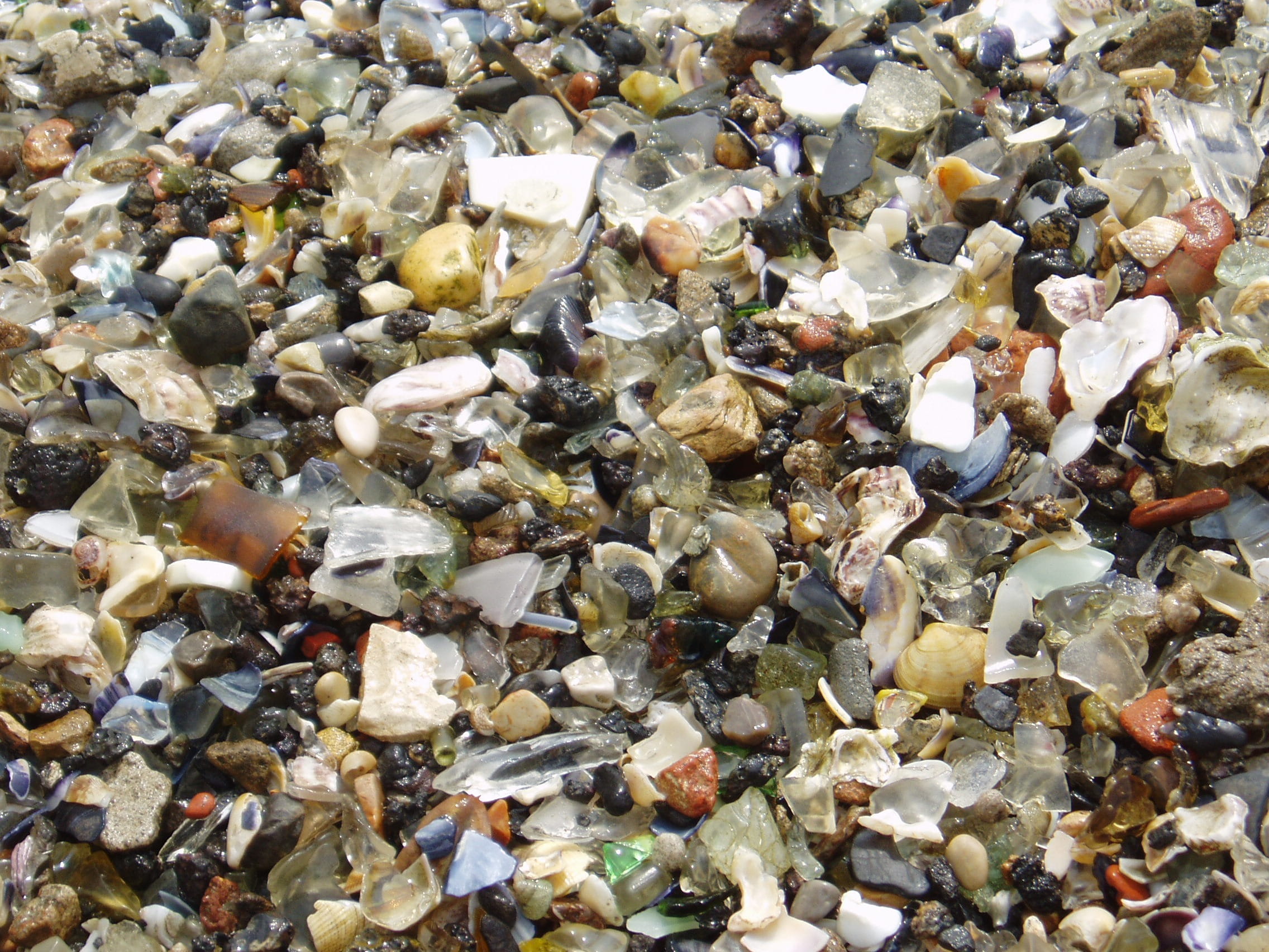 decoration, full frame, Pebbles, textured, pattern, animal wildlife, background, shell, animal, nature, Shells, no People, water, high angle view, pebble, HD Wallpaper