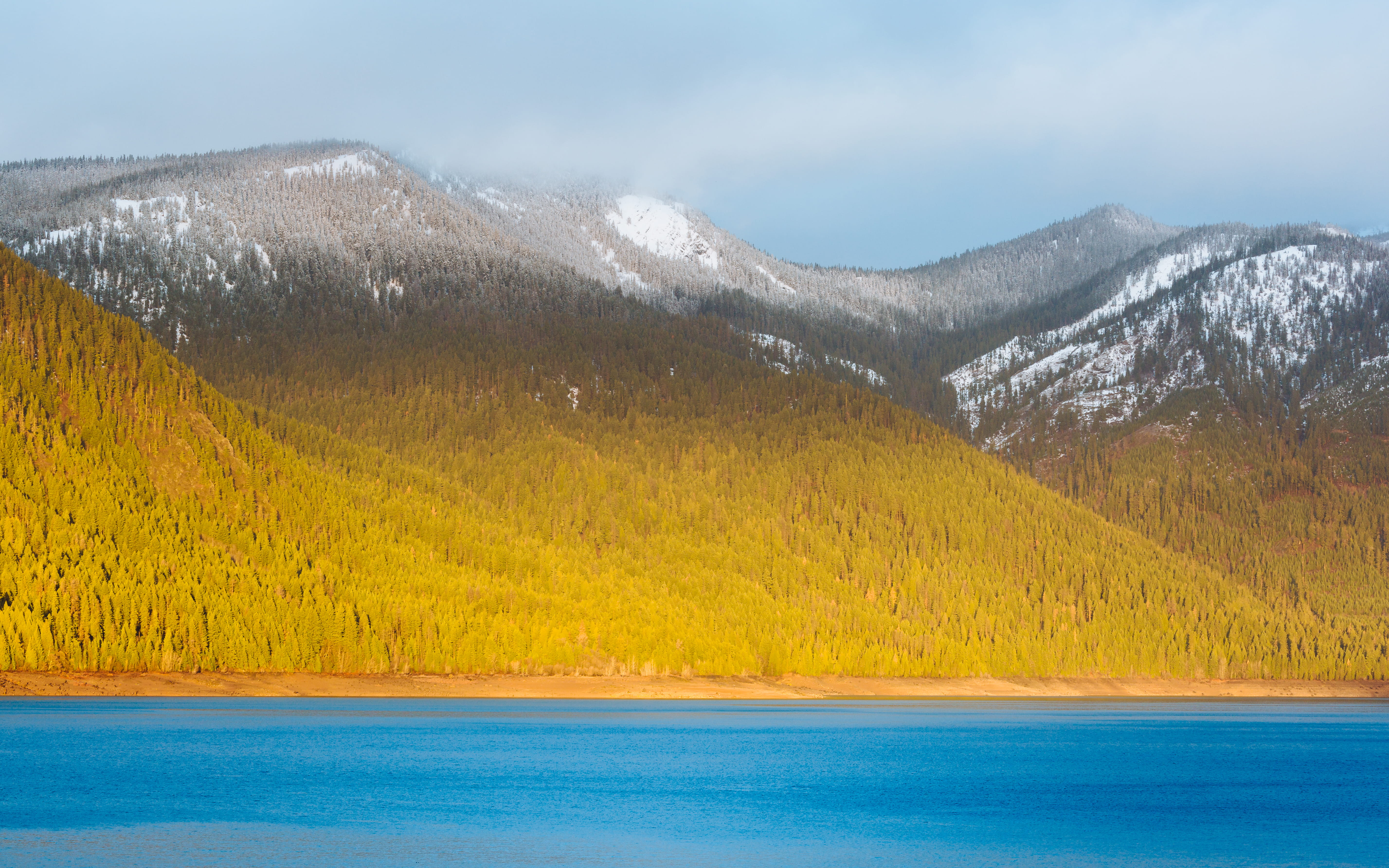 mountains, beauty in nature, non-urban scene, washington, snowcapped mountain, pnw, trees, tree, landscape, lake, scenic, forest, snow, water, pacific northwest, HD Wallpaper