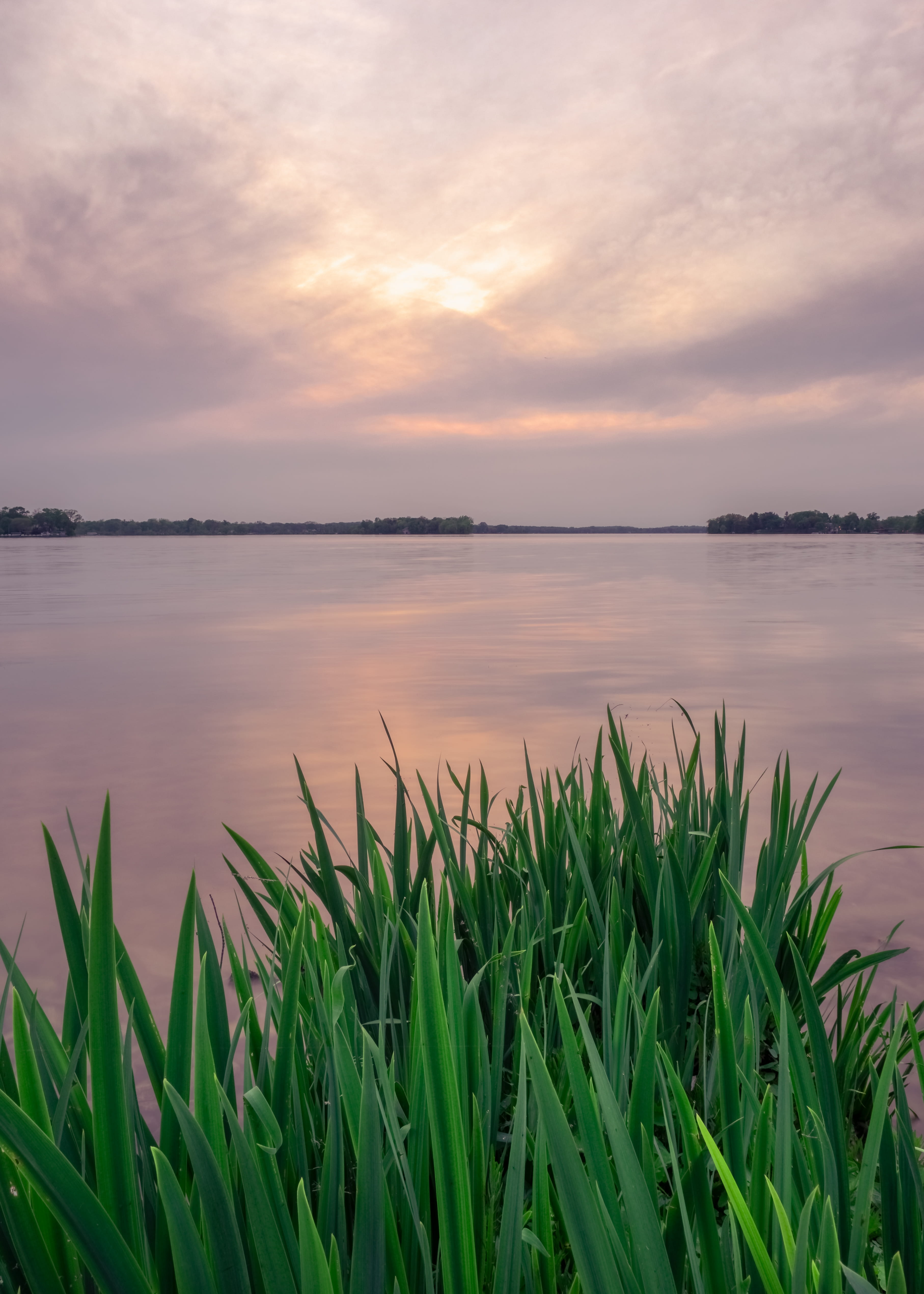 4K, tranquil scene, reflection, olympus om-d em-1 mkii, sunset, united states, outdoors, no people, wisconsin, calm, plants, still, lake, non-urban scene, Phone HD Wallpaper