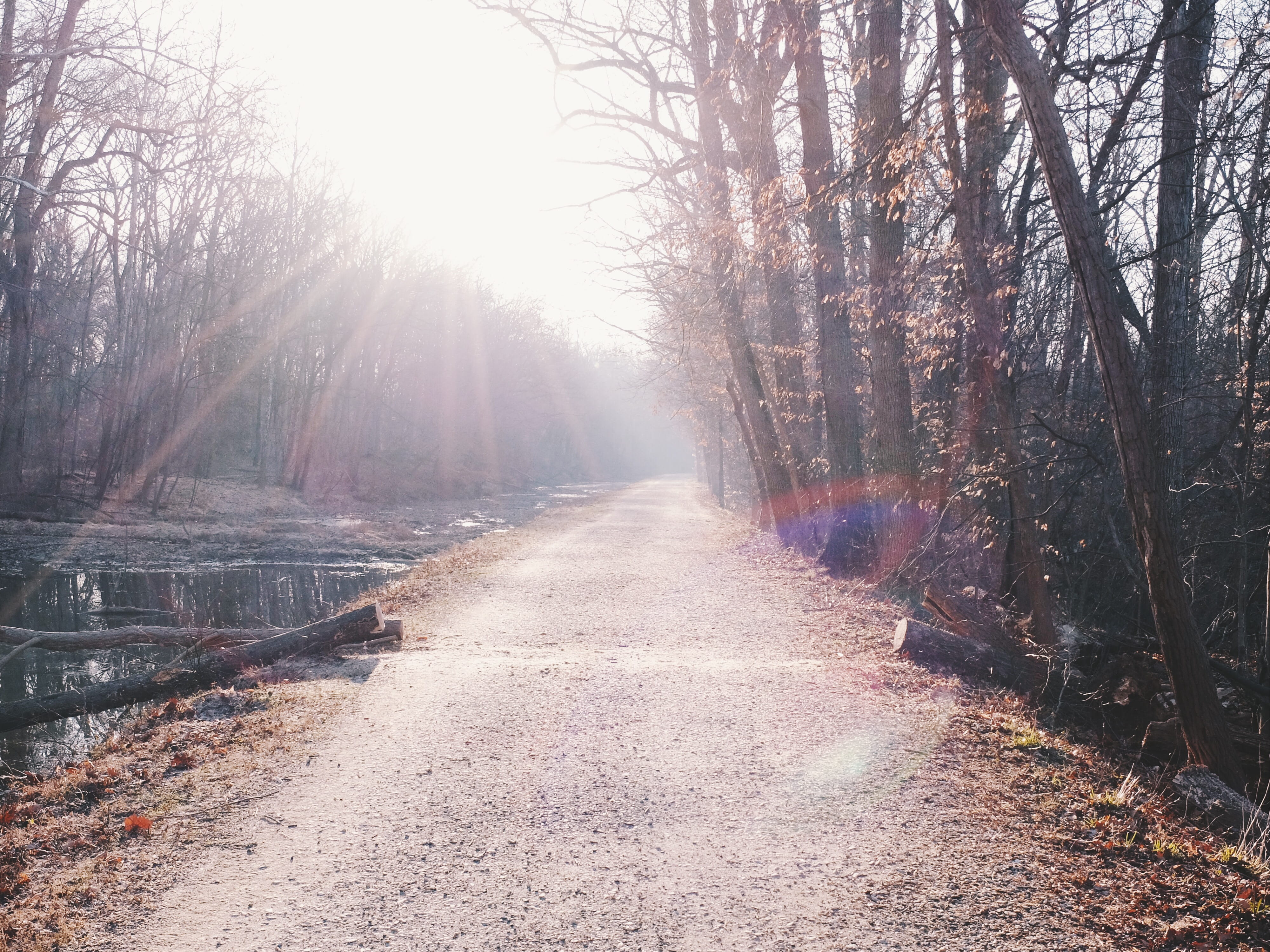 light, footpath, rockville, sunrise, dc, diminishing perspective, woodland, outdoors, direction, morning, c and o canal association, united states, transportation, HD Wallpaper