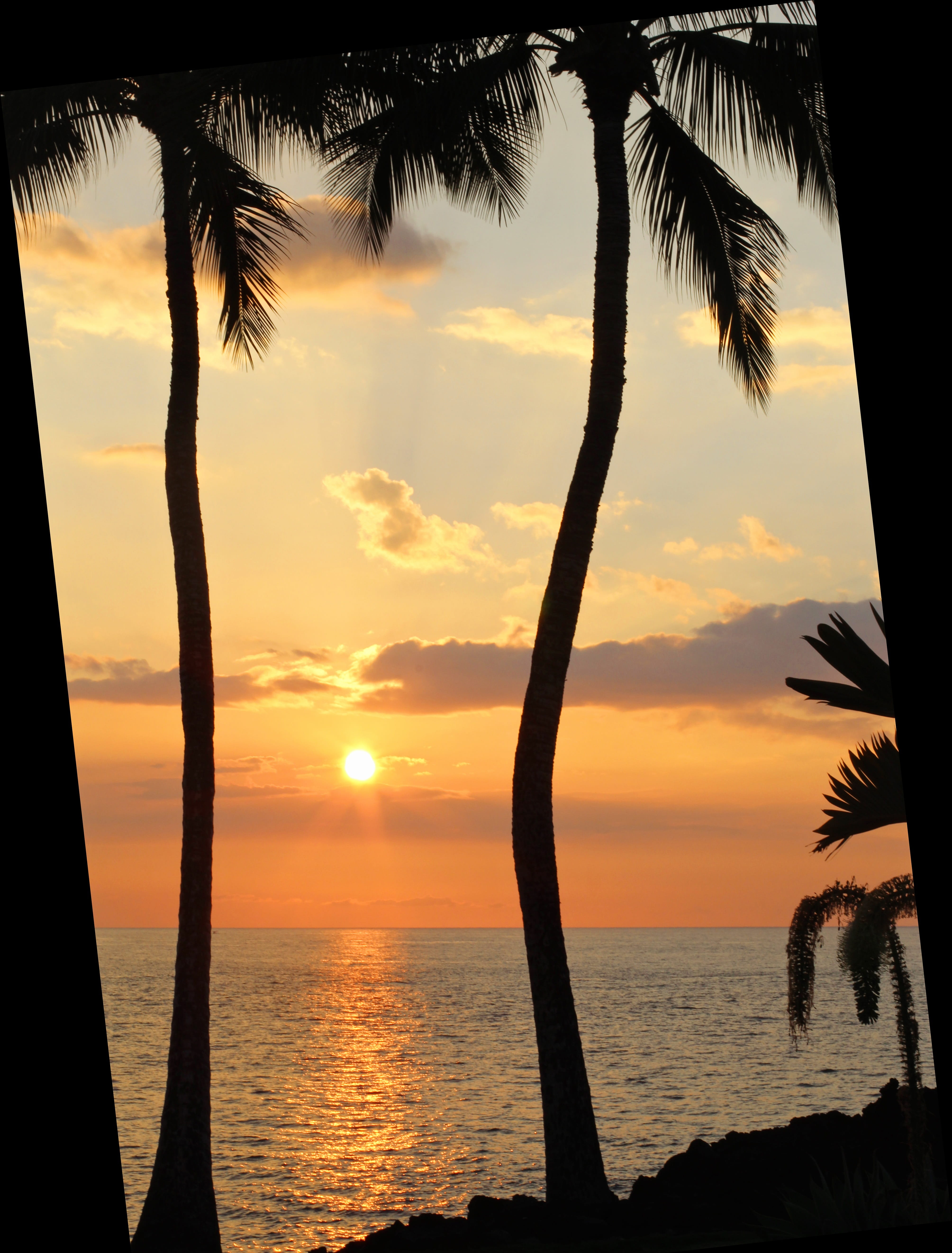 palm tree, near, island, hawaiian sunset, coast, wave, summer, beauty in nature, beach, horizon over water, tranquility, tranquil scene, landscape, the big island, Phone HD Wallpaper