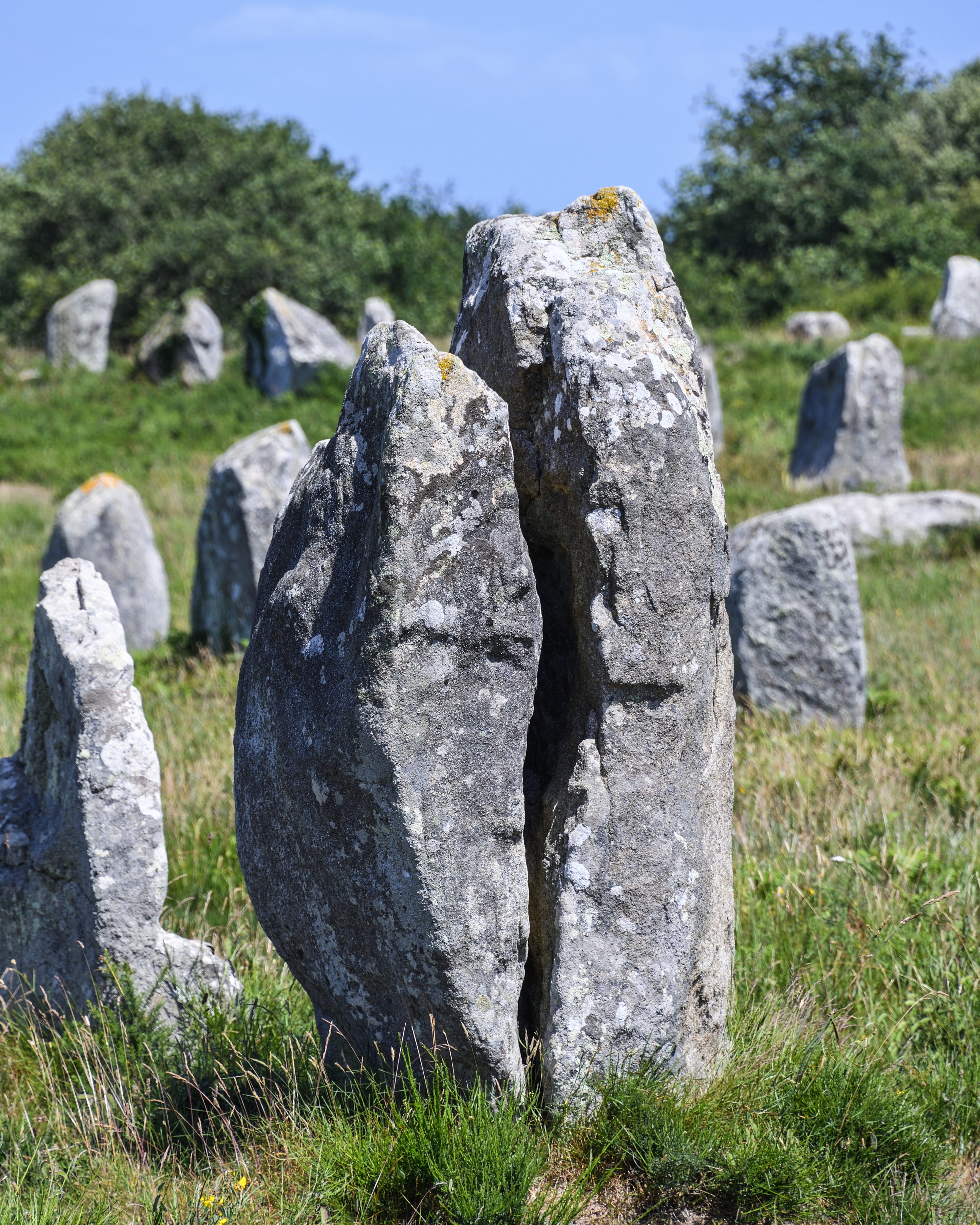 the past, day, field, Carnac, stone material, pierre, 4K, Menhir, history, outdoors, plant, nature, grave, memorial, solid, focus on foreground, no people, Phone HD Wallpaper