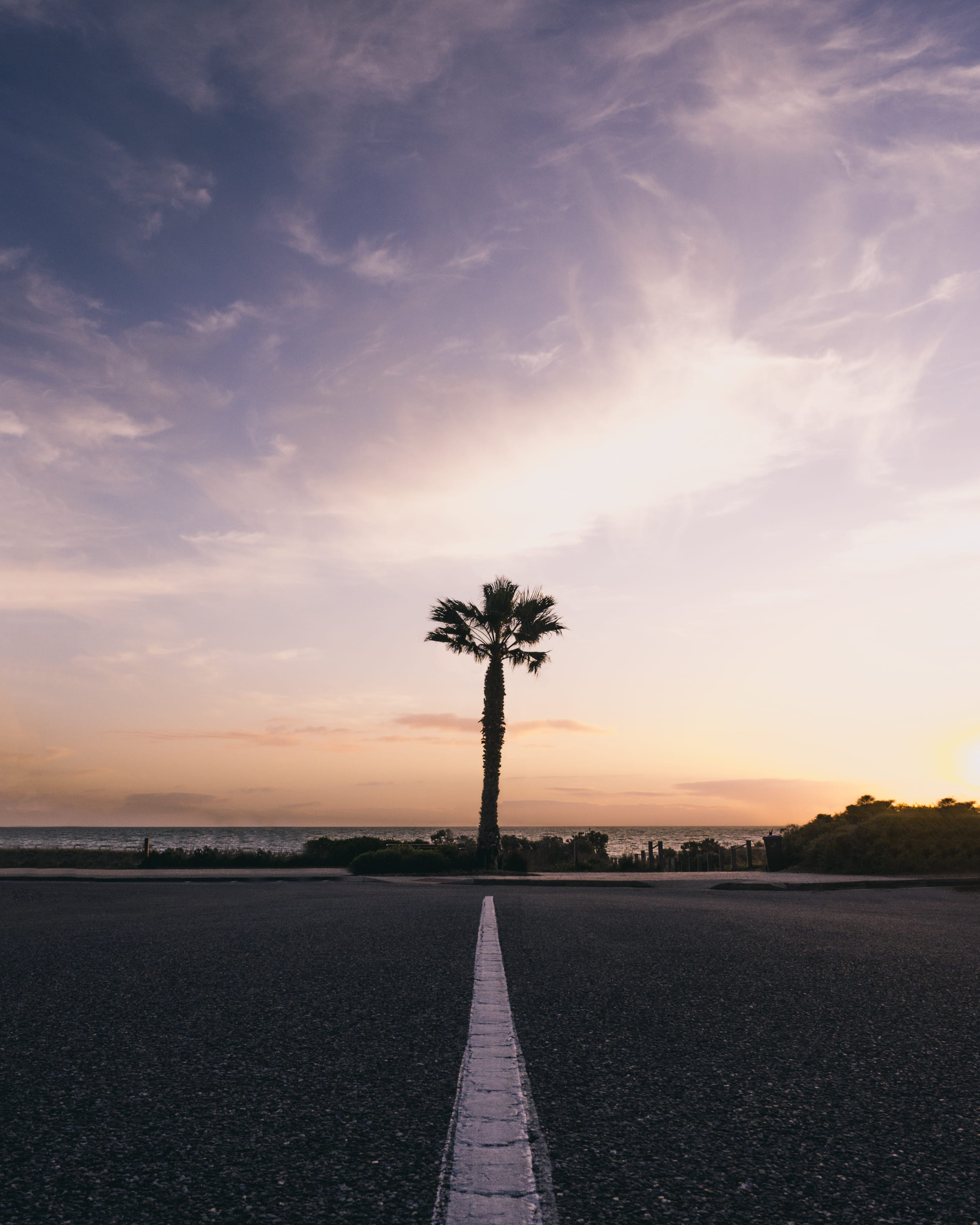 tropical, alignment, simplistic, tropical climate, diminishing perspective, solo, no people, transportation, coastline, direction, 2K, lifes beauty, road, Phone HD Wallpaper