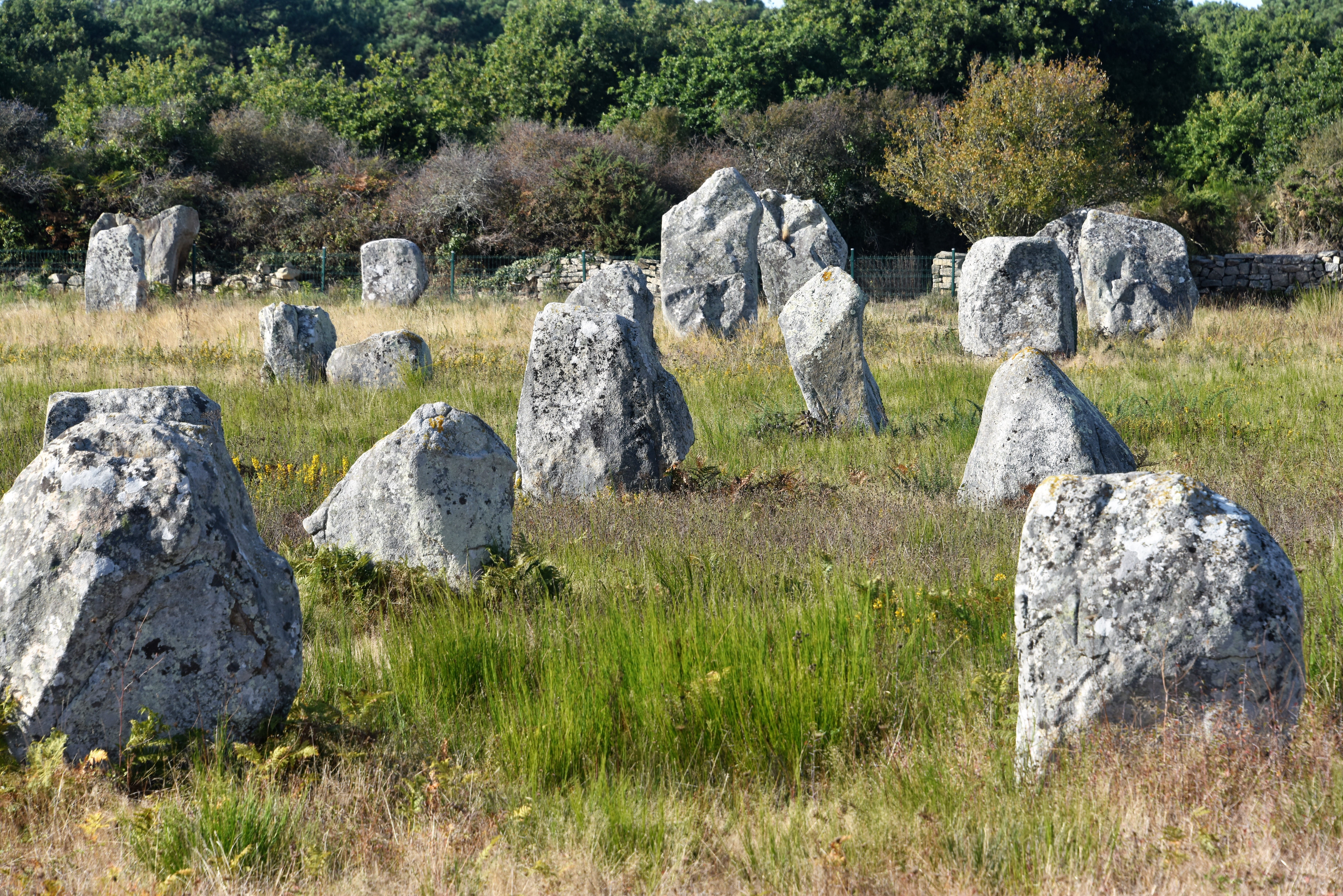 rock - object, tree, funerary, france, grass, the past, solid, menhirs, carnac, rock, stone, plant, 5K, land, tranquility, neolithic, tranquil scene, nature, HD Wallpaper