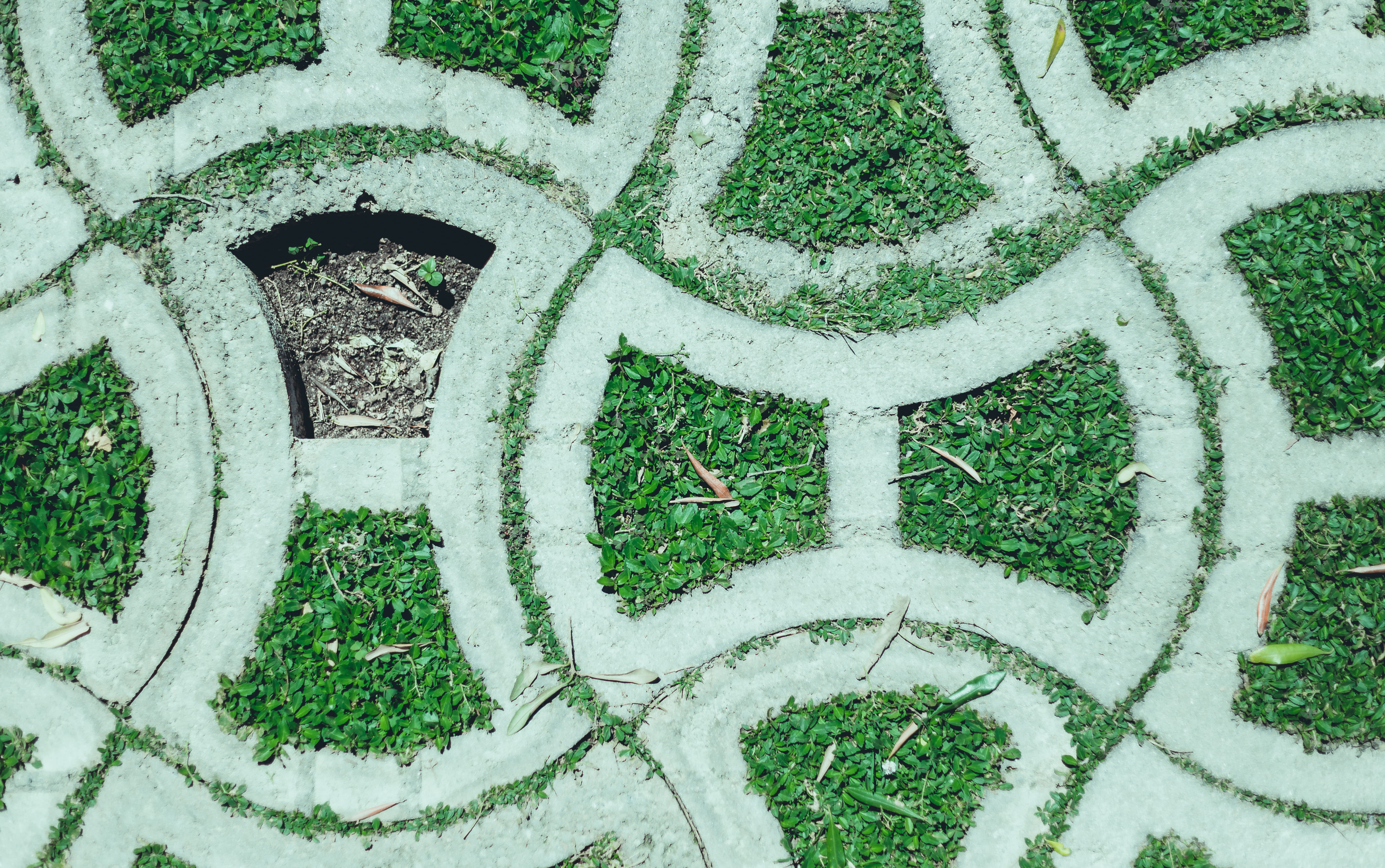 cold temperature, white color, winter, art and craft, nature, high angle view, design, plant, grass, no people, growth, align, missing, outdoors, 5K, architecture, HD Wallpaper
