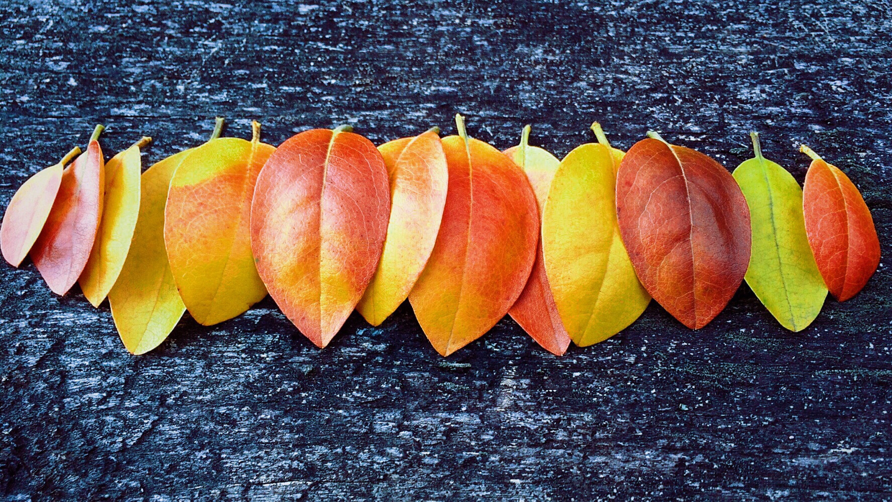 dried, season, gray, fruit, arrangement, slice, vegetarian food, 2K, surface, wellbeing, leaves, indoors, autumn, october, colors, medium group of objects, HD Wallpaper