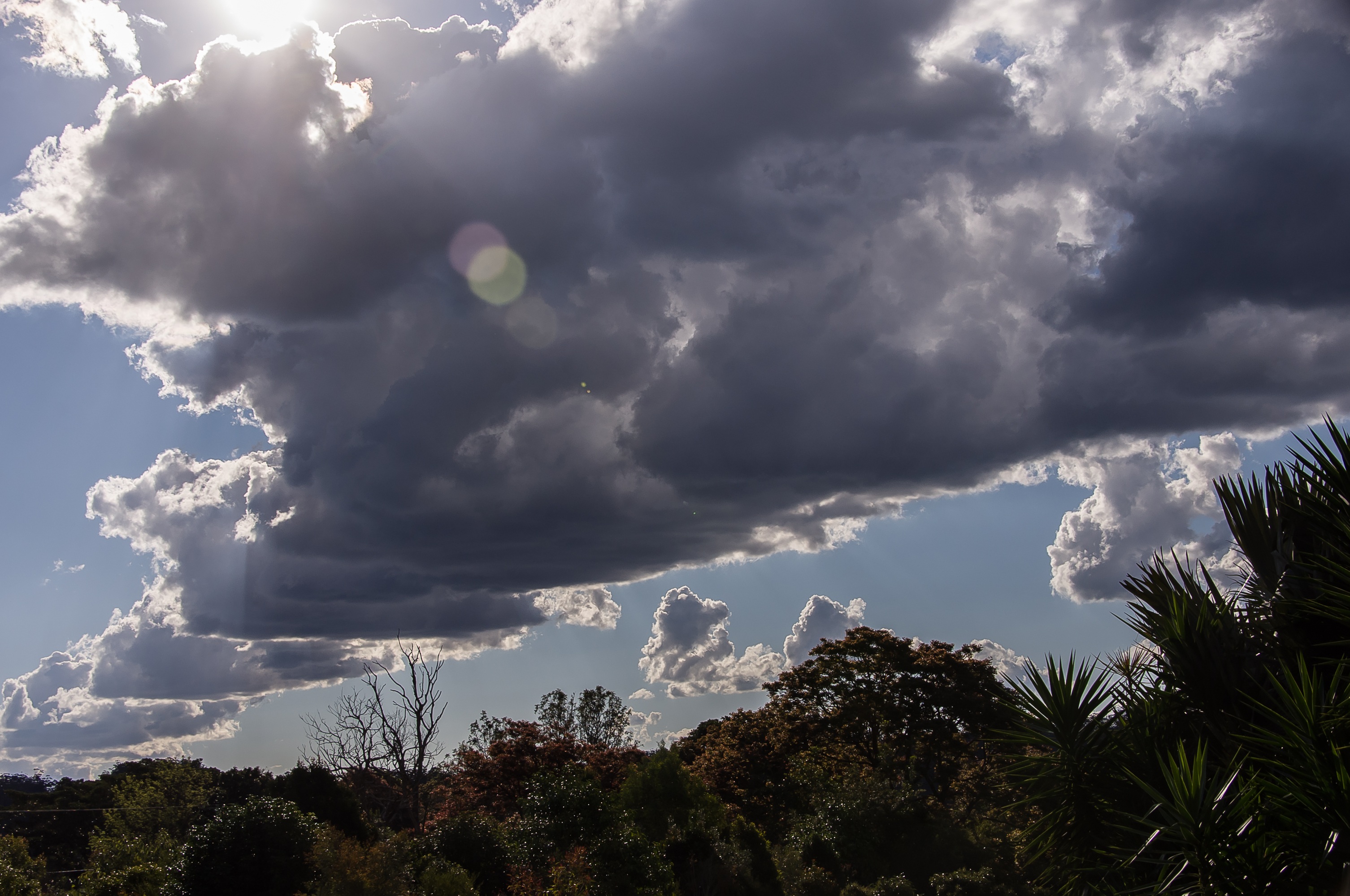 grey, sunlight, tranquil scene, no people, scenics - nature, day, low angle view, cloud - sky, sky, landscape, australia, beauty in nature, plant, growth, HD Wallpaper