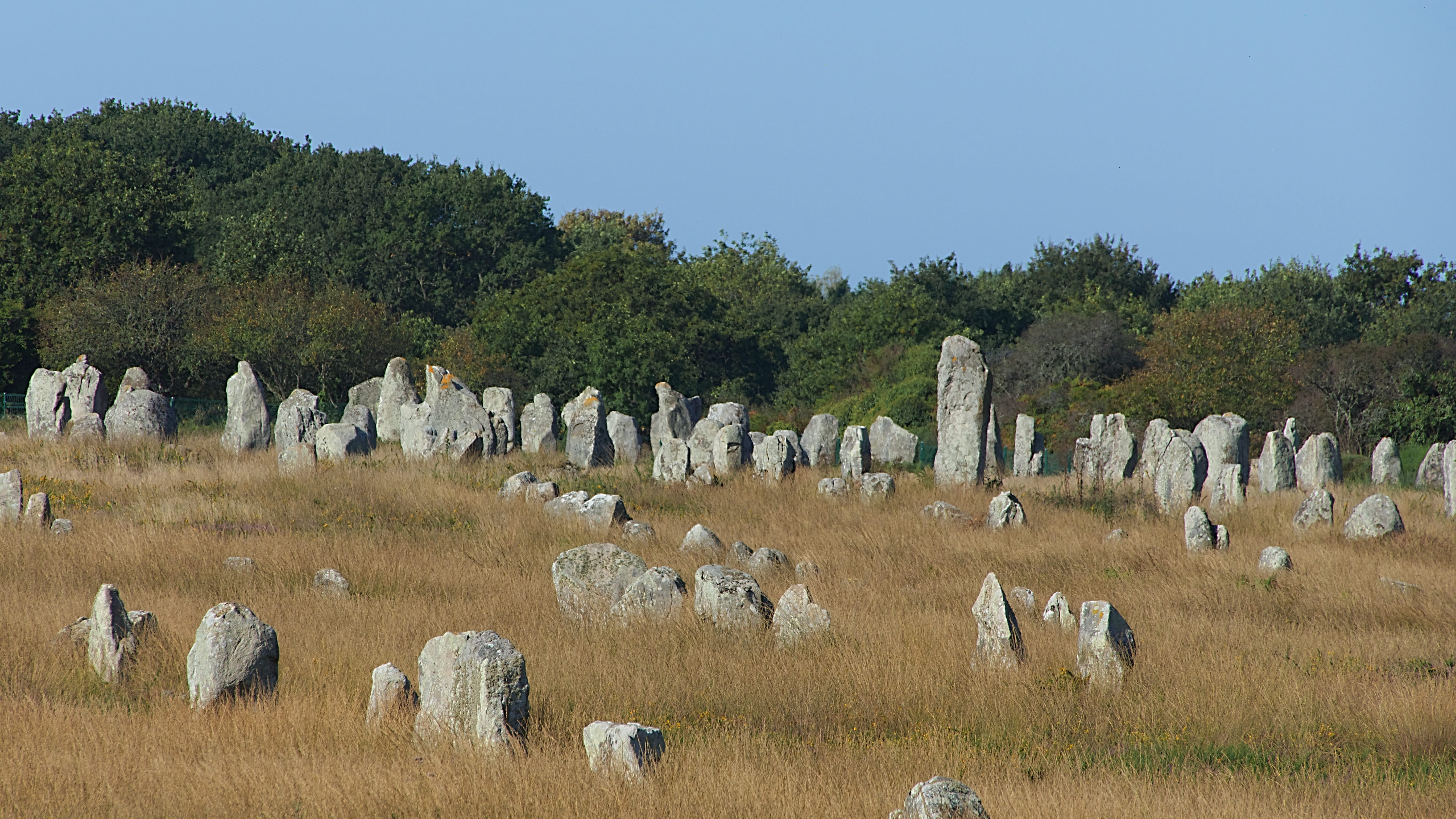 outdoors, grass, nature, flock of sheep, stone, no people, menhir, livestock, animals in the wild, plant, carnac, group of animals, sheep, sky, agriculture, HD Wallpaper