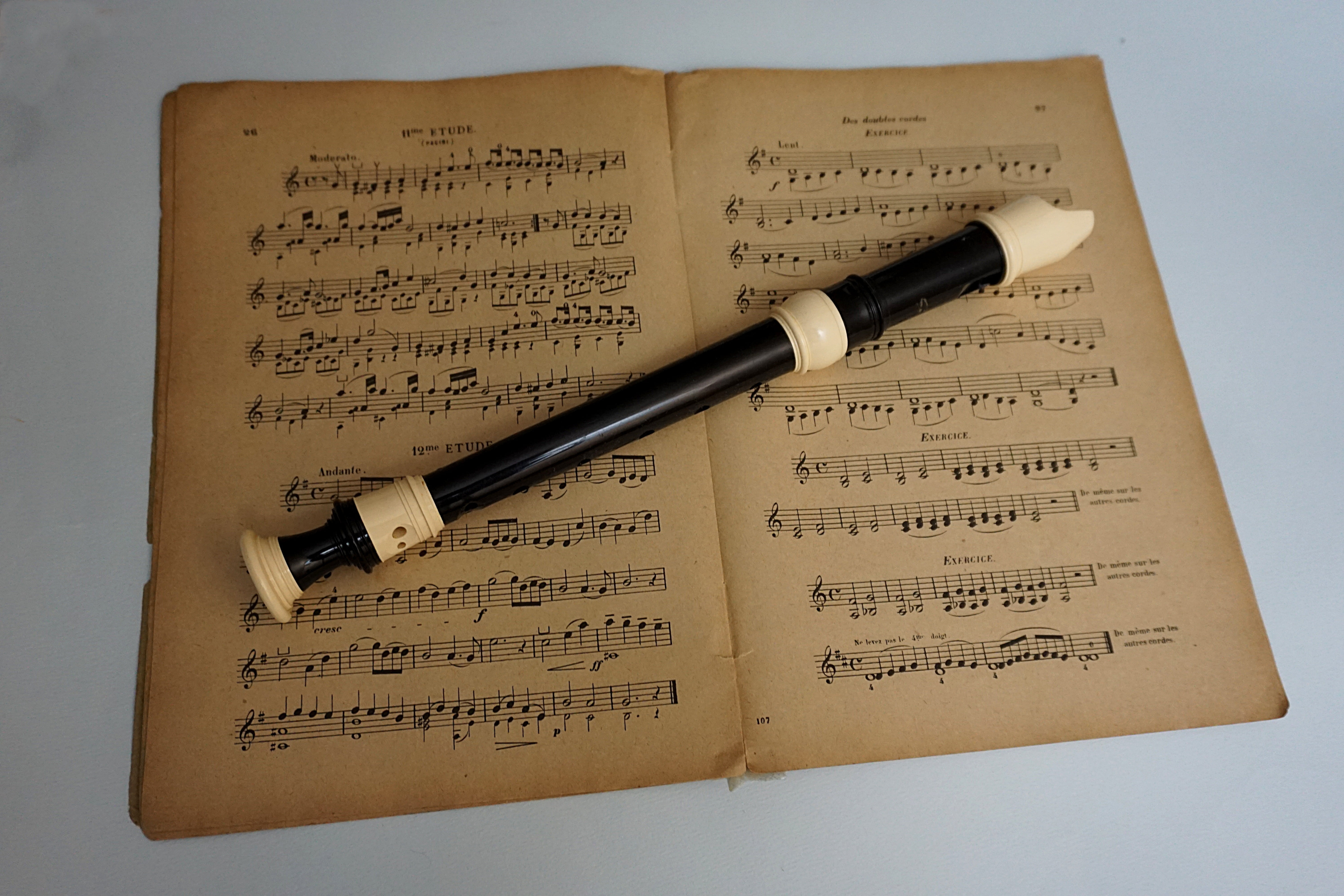 close-up, text, music, flute, ink, message, paper, musical instrument, artist, publication, western script, no people, antique, 5K, still life, communication, HD Wallpaper