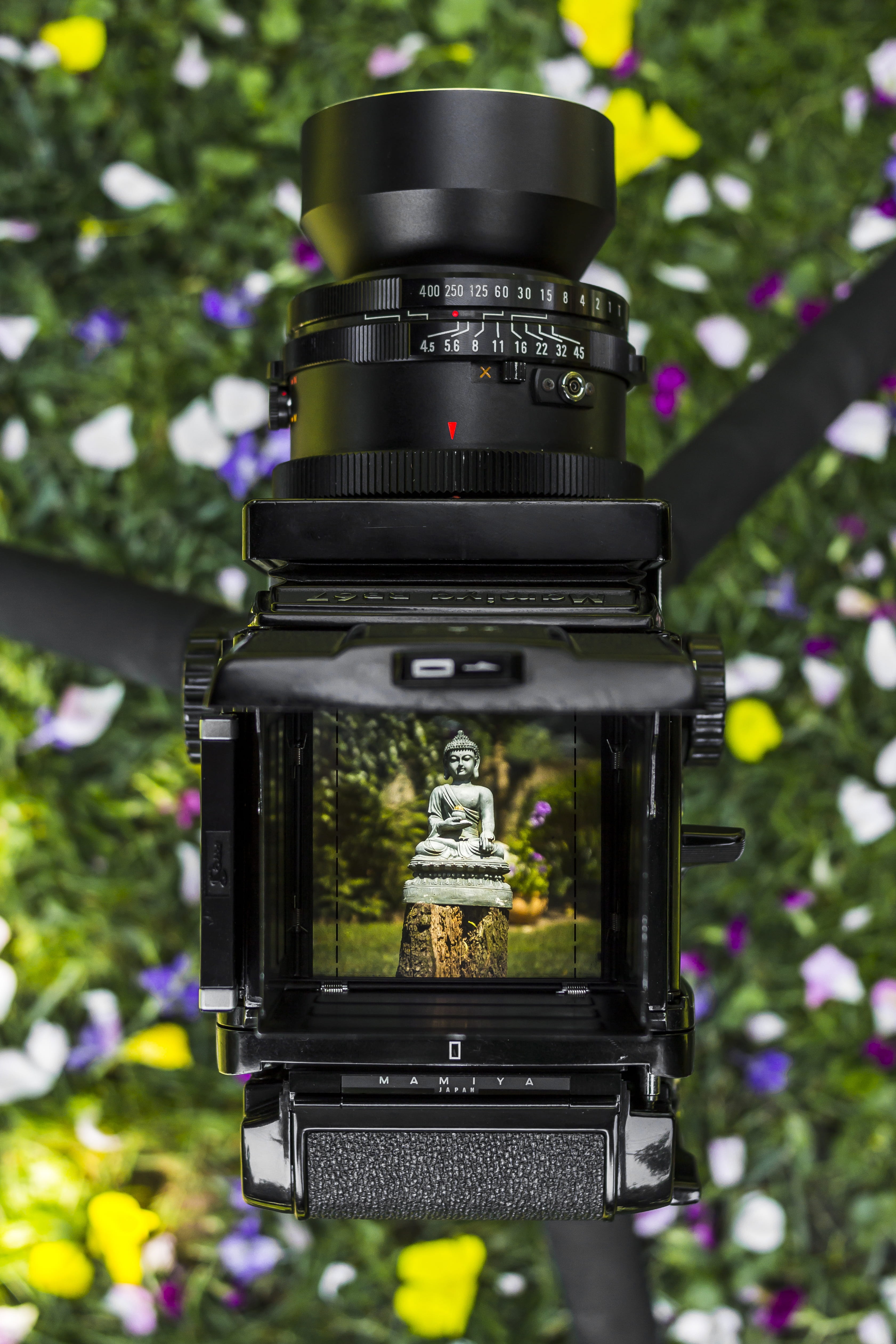 viewfinder, meditating, tranquility, digital camera, lighting equipment, 6x7, flower, photographic equipment, architecture, old, spiritual, outdoors, plant, Phone HD Wallpaper