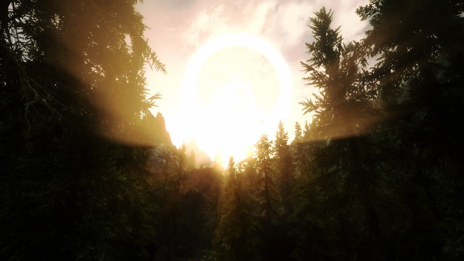 forest, land, scenics - nature, sky, brightly lit, growth, idyllic, sunlight, 720P, lens flare, plant, streaming, solar flare, sunset, coniferous tree, HD Wallpaper