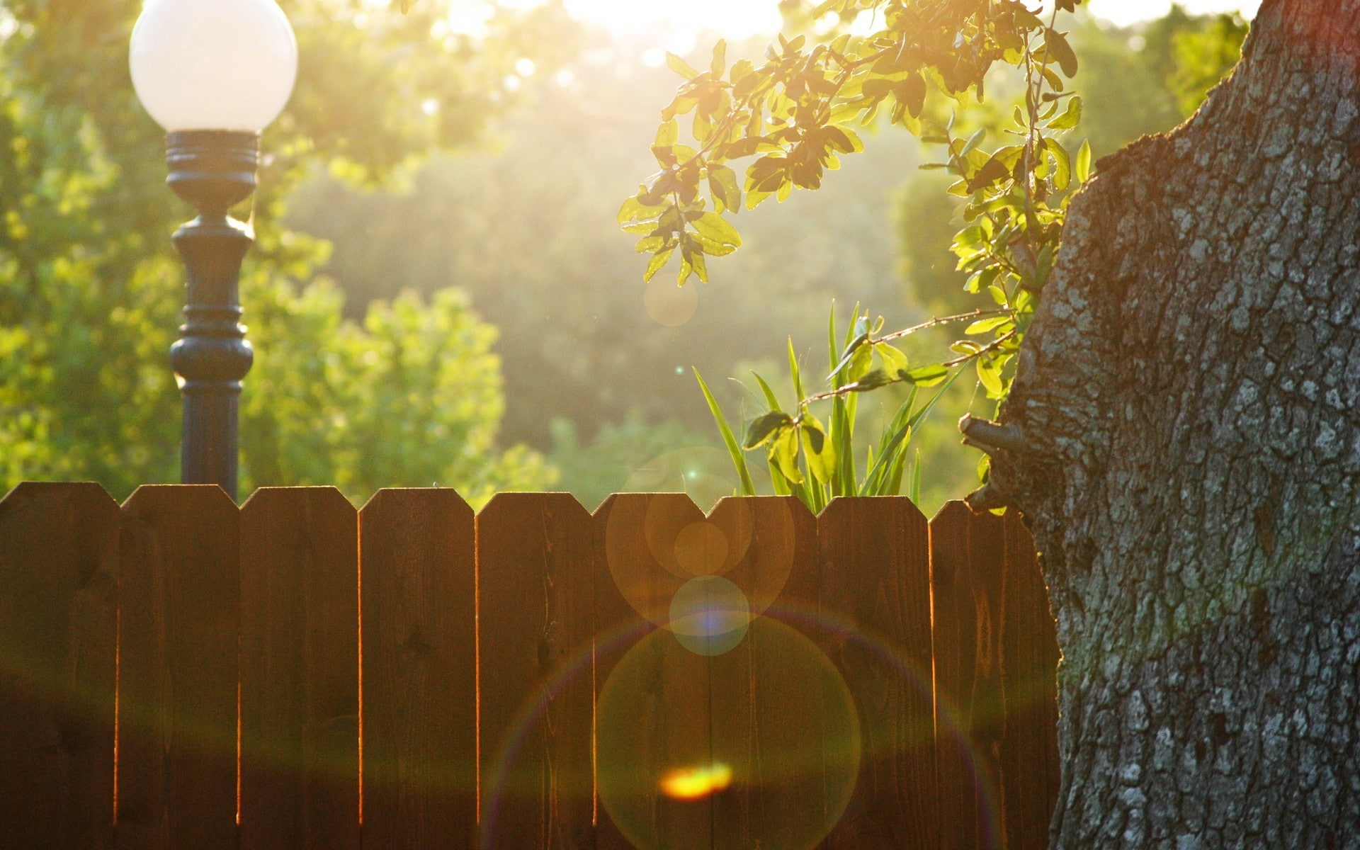 trees, 1080P, fence, sunlight, lens flare, street light, HD Wallpaper