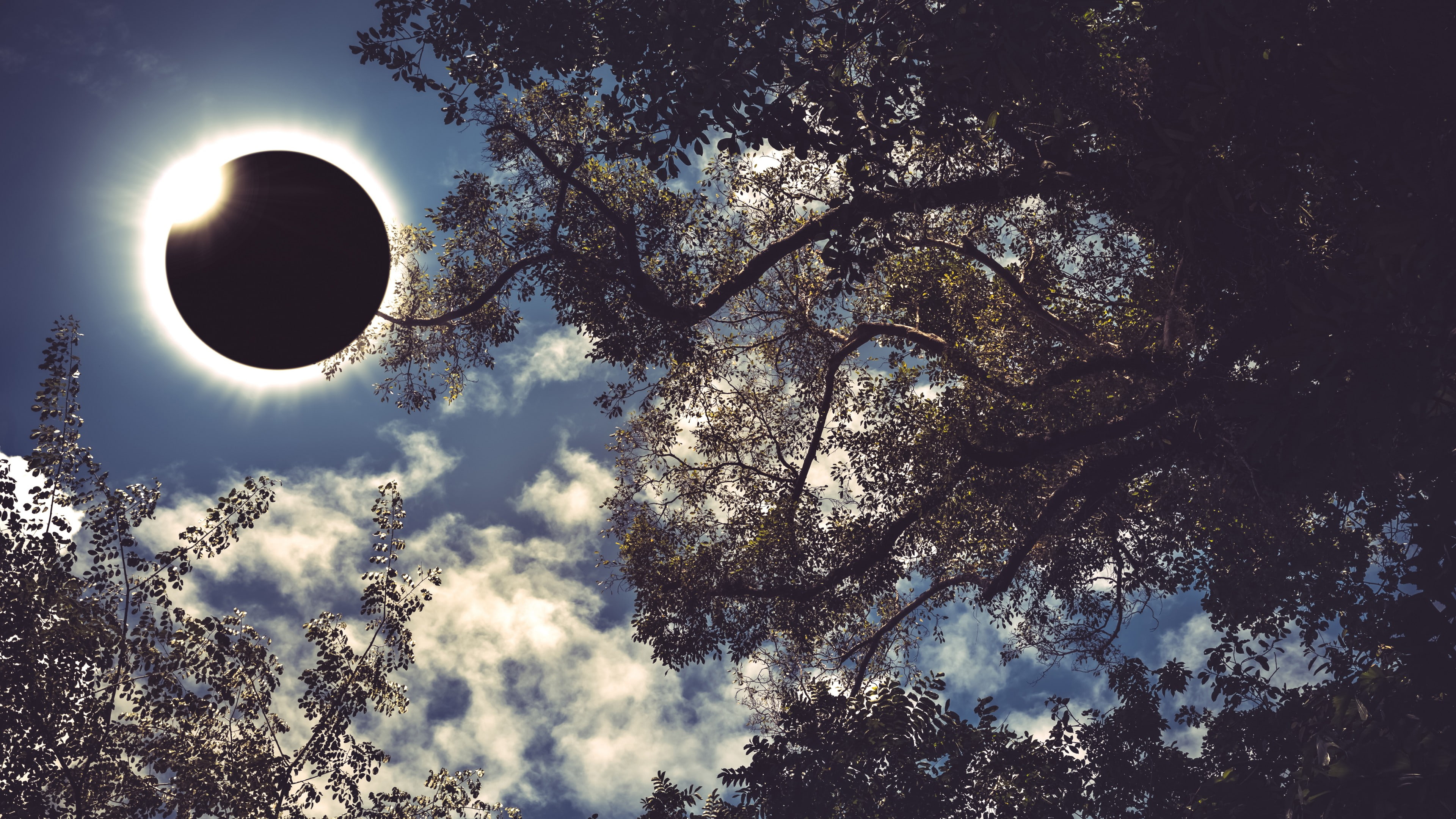 photo, solar, Great American eclipse, eclipse, tree, 4k, Total solar eclipse of Aug 21 2017, 4K, HD Wallpaper