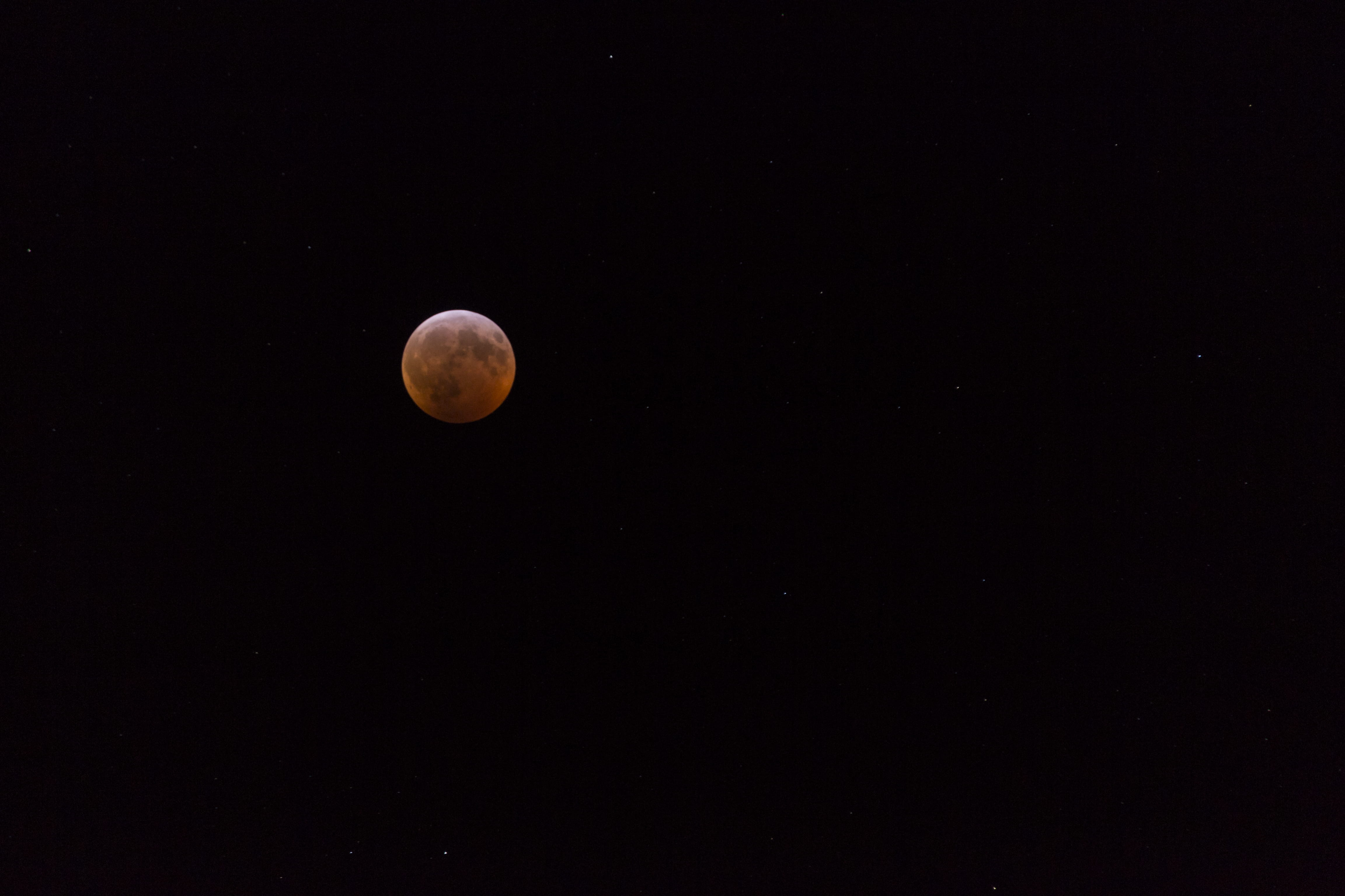 fairfax station, planetary moon, nature, space and astronomy, blood moon, coast, scenics - nature, shoreline, outdoors, idyllic, night, shape, circle, tranquility, HD Wallpaper