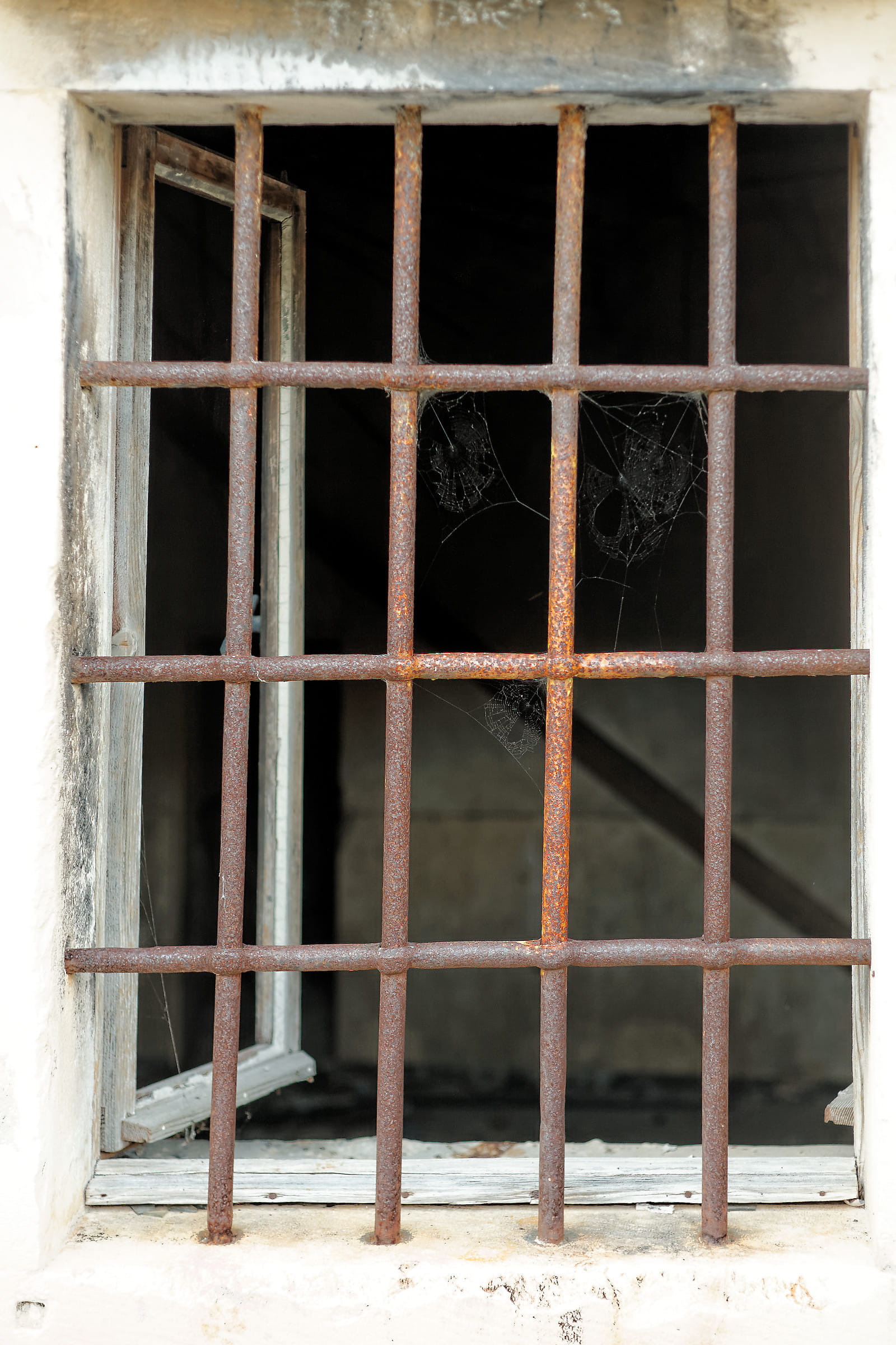 no people, abandoned, prison cell, metal, bars, day, prison, outdoors, rust, security bar, animal themes, old, grid, built structure, wood - material, 1080P, Phone HD Wallpaper