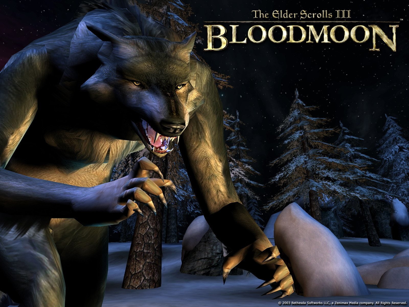 The Elder Scrolls, The Elder Scrolls III: Bloodmoon, 720P, Werewolf, HD Wallpaper
