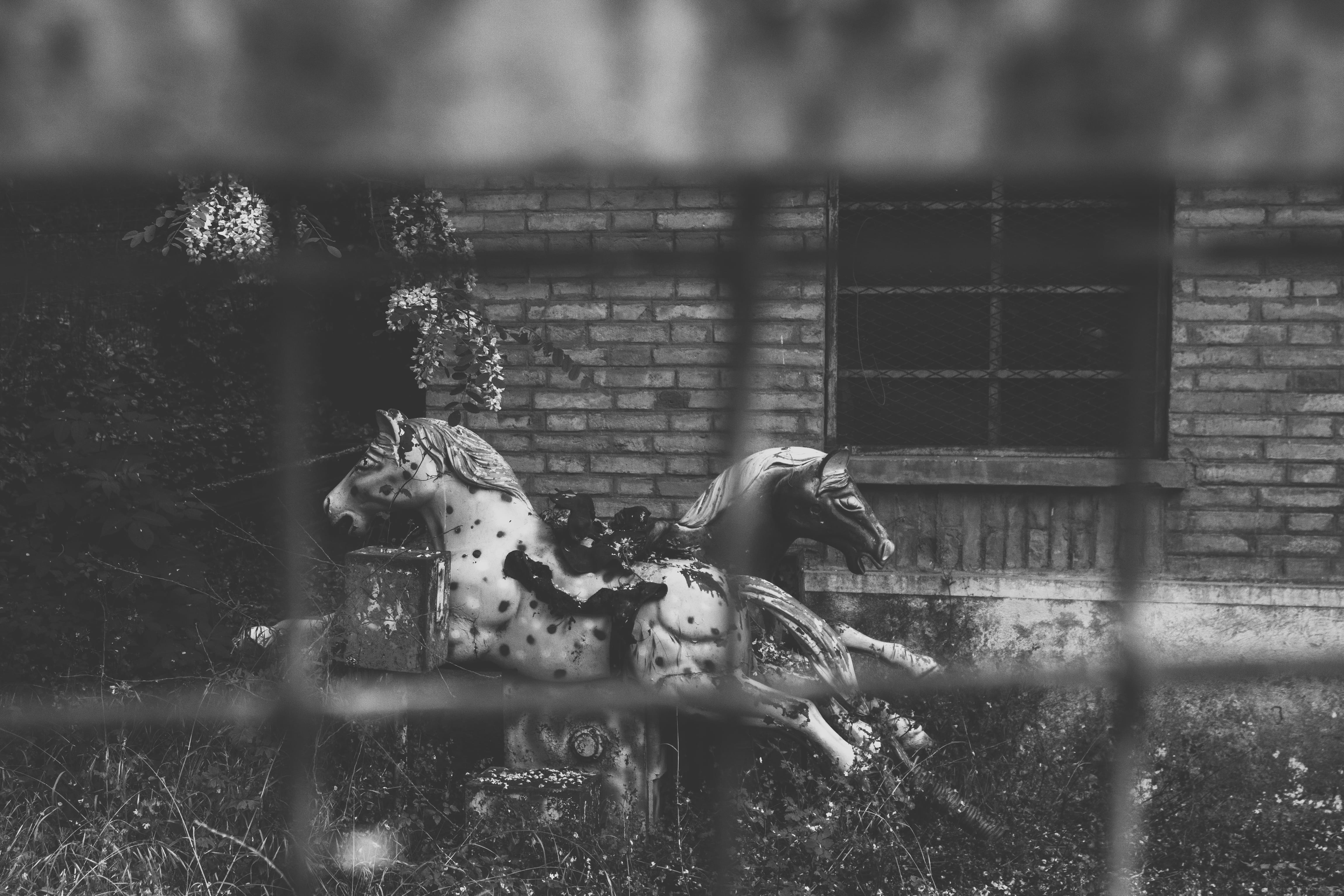 jail, female, animal themes, horses, giraffe, two animals, day, merry-go-round, mammal, no people, past dom, nature, prison, carousel, horse, grass, backyard, HD Wallpaper