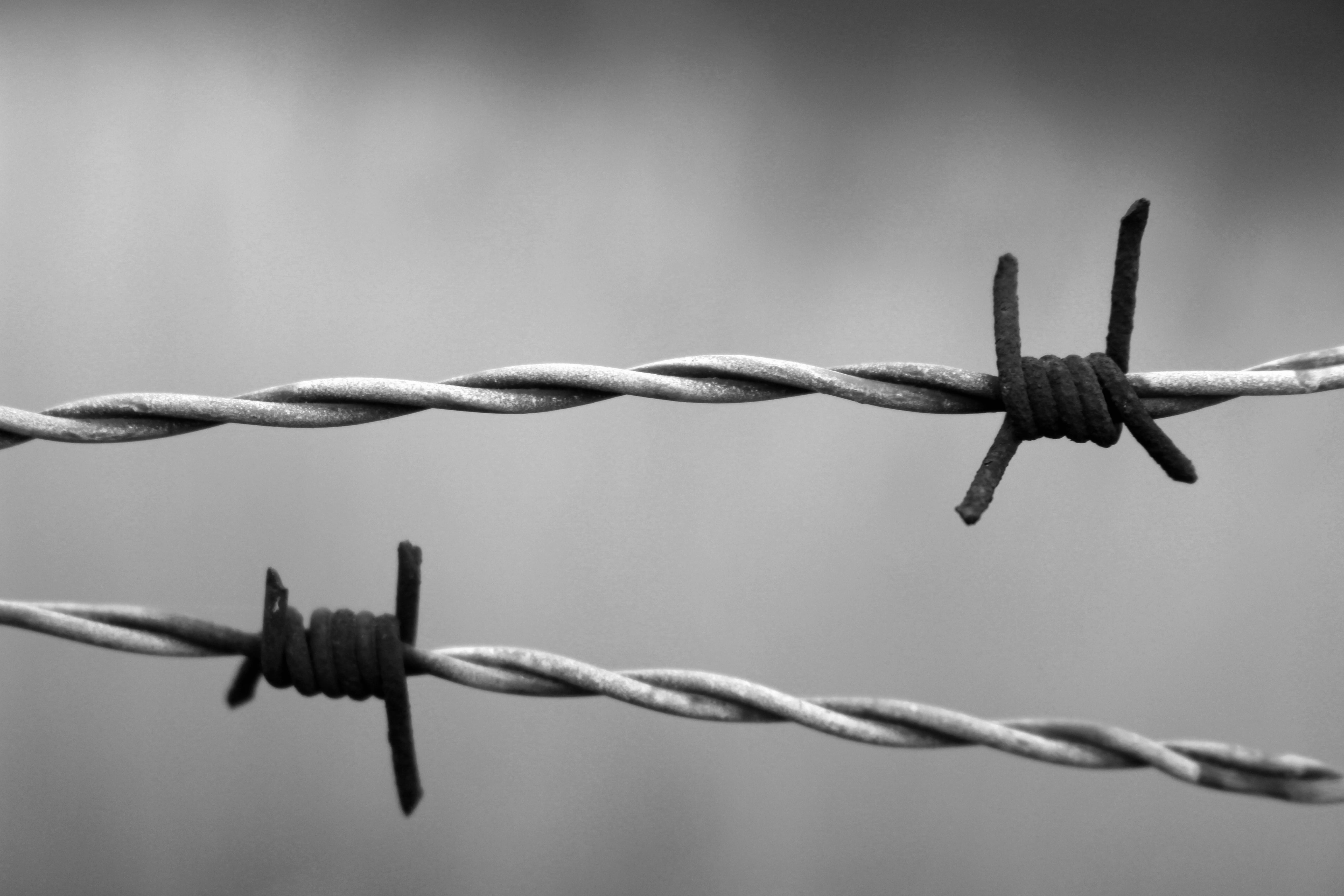 grayscale, 5K, no people, rusty, communication, fence, barrier, wire, bound, rust, connection, barbed, security, metal, barred, abandonment, interdict, HD Wallpaper
