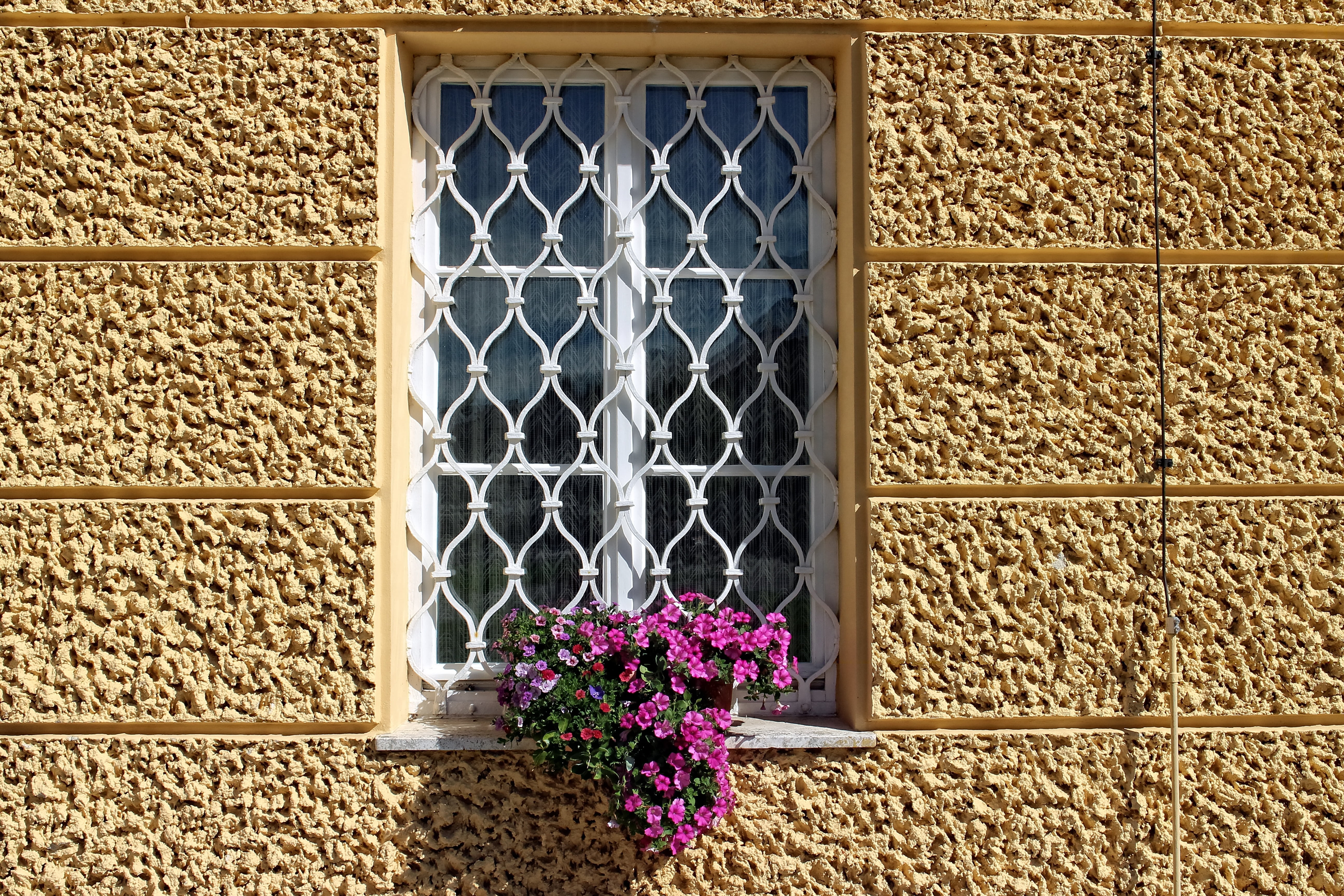 pattern, flowering plant, no people, ornament, grate, building, day, fragility, built structure, window grilles, metal, old, flower, 5K, decoration, climber, HD Wallpaper