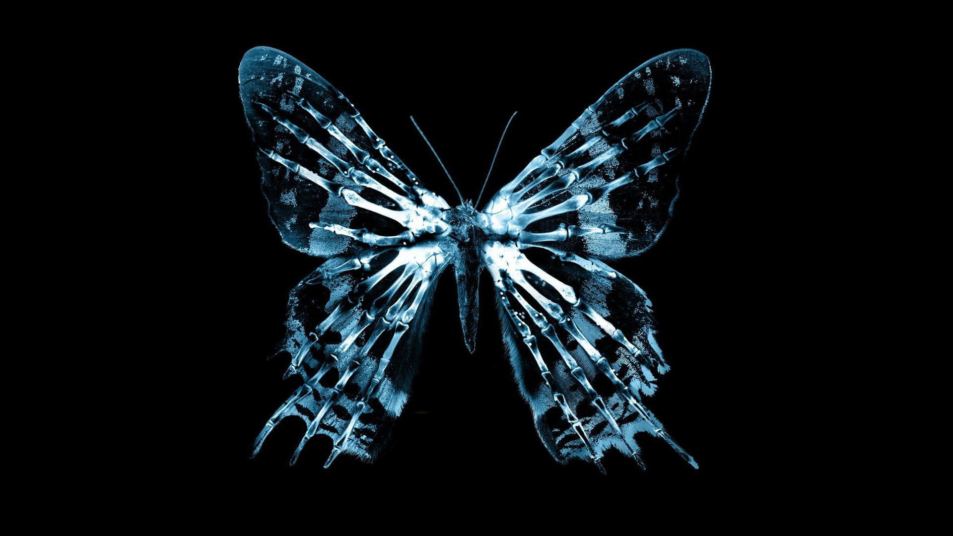 effect, butterflies, Butterfly Effect, x, butterfly, animals, hd, art, 1080P, HD Wallpaper